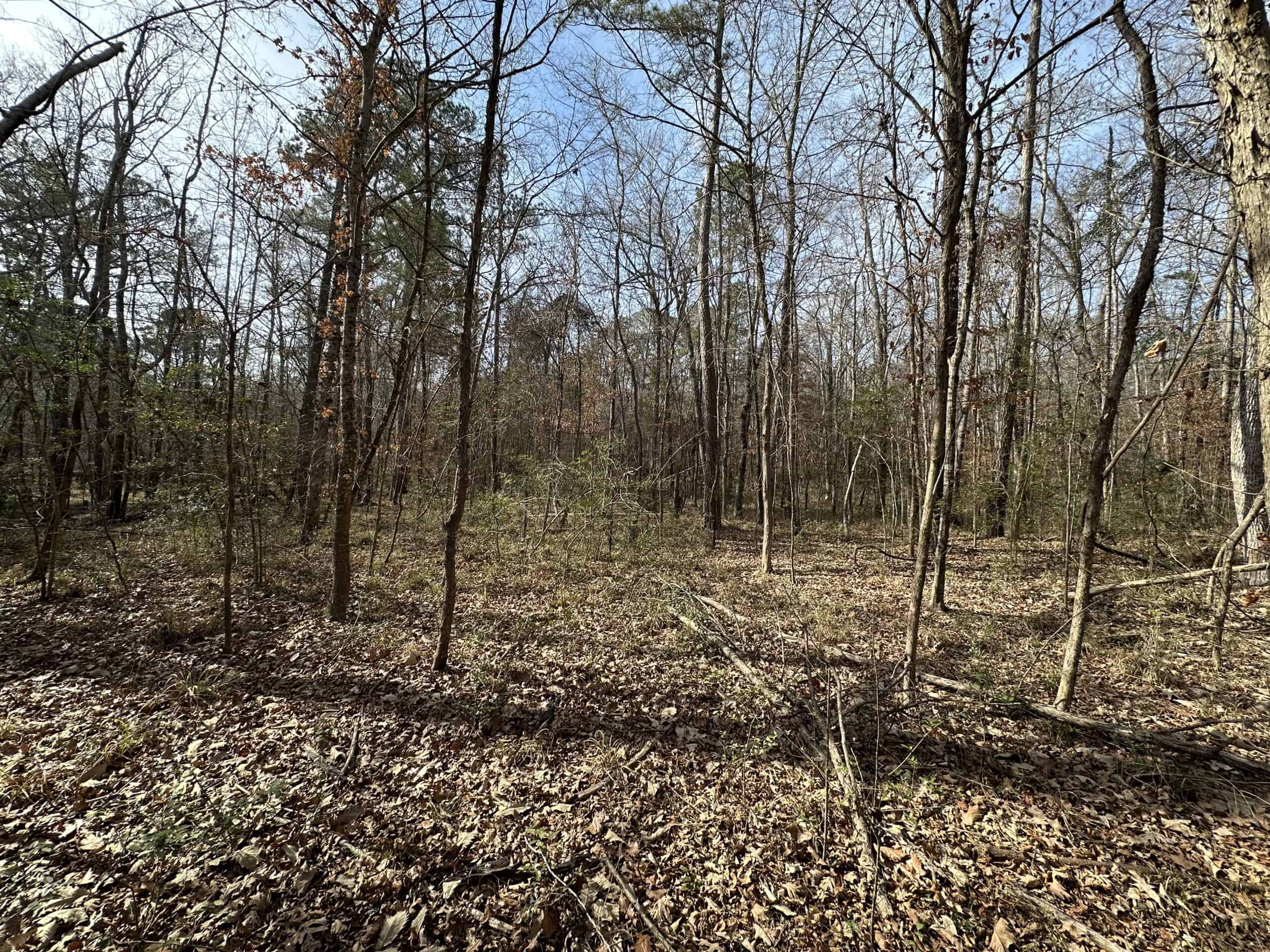 East Texas Hunting/Recreational Tract For Sale