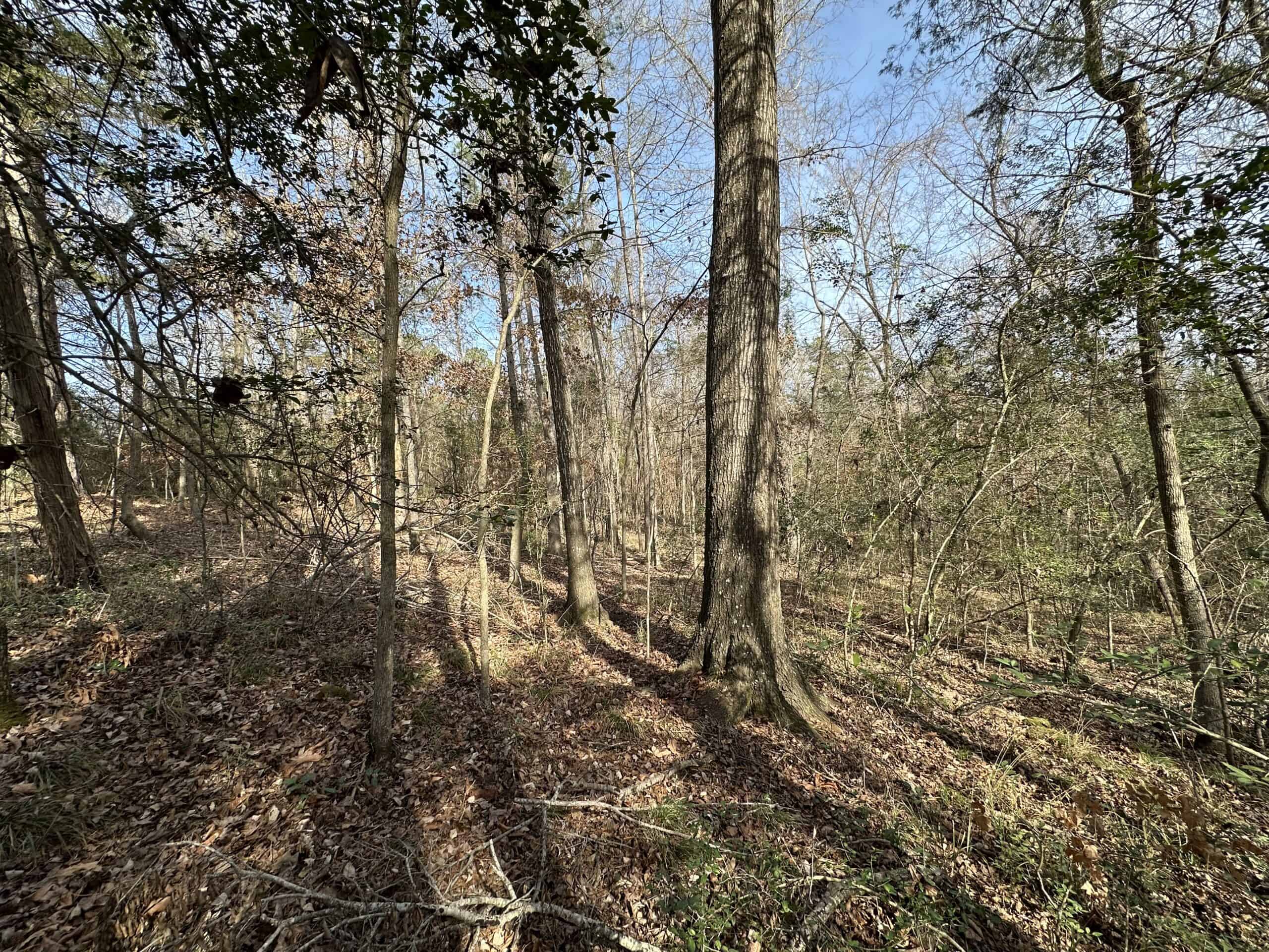 East Texas Hunting/Recreational Tract For Sale