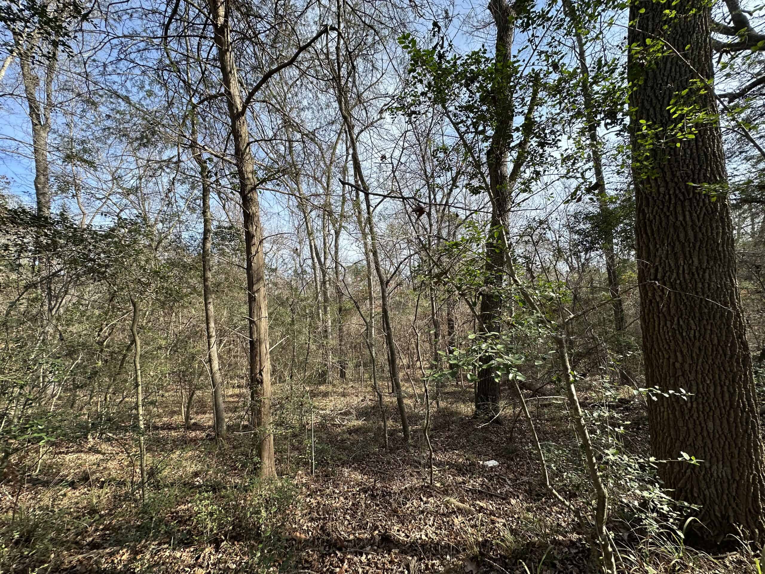 East Texas Hunting/Recreational Tract For Sale