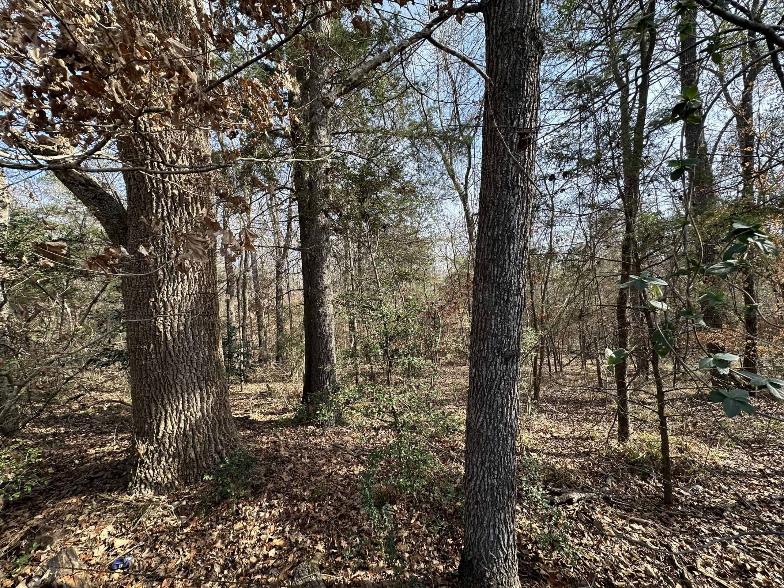 East Texas Hunting/Recreational Tract For Sale