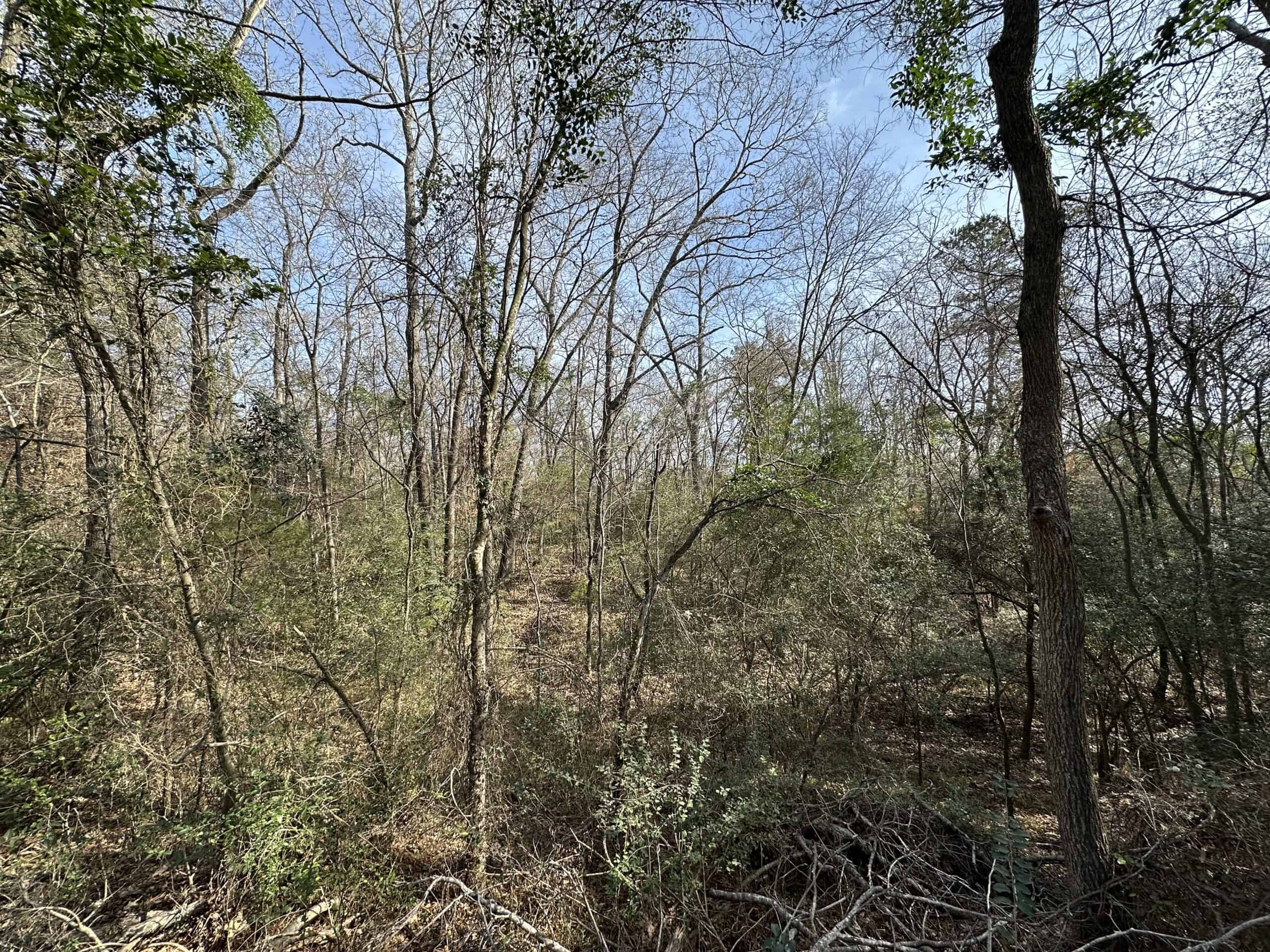 East Texas Hunting/Recreational Tract For Sale