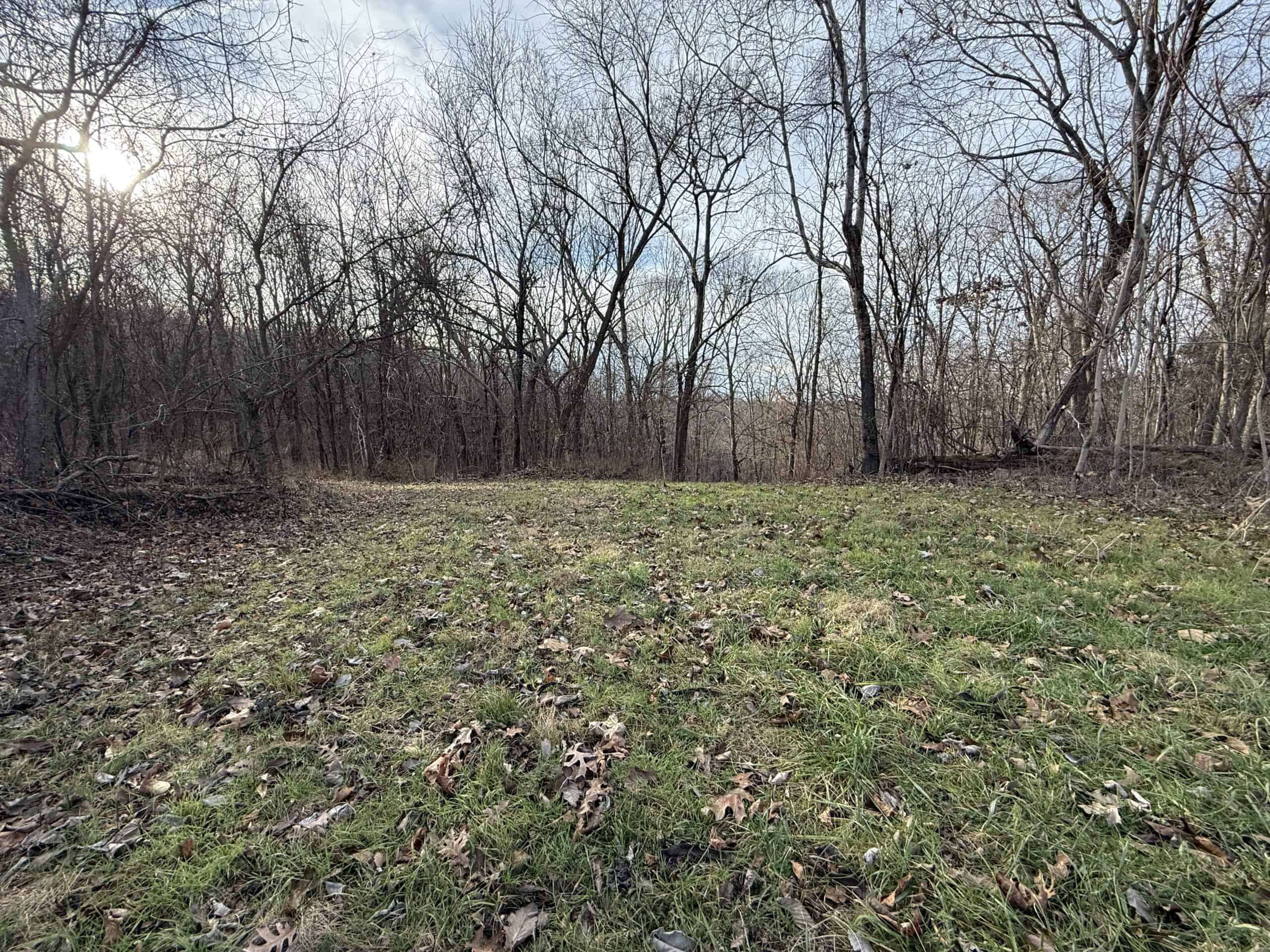 LAND FOR SALE IN THE ARKANSAS OZARK MOUNTAINS