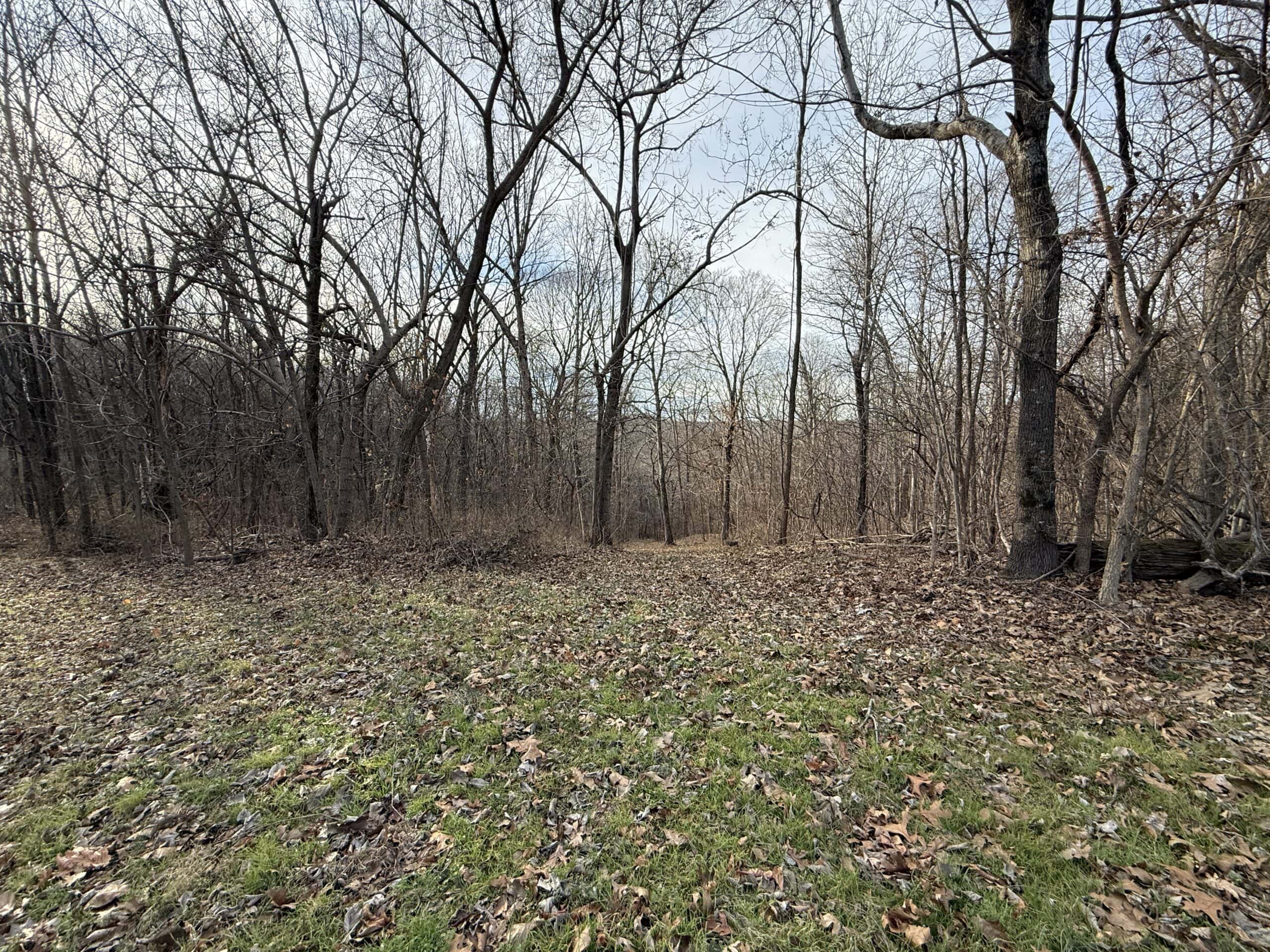 LAND FOR SALE IN THE ARKANSAS OZARK MOUNTAINS