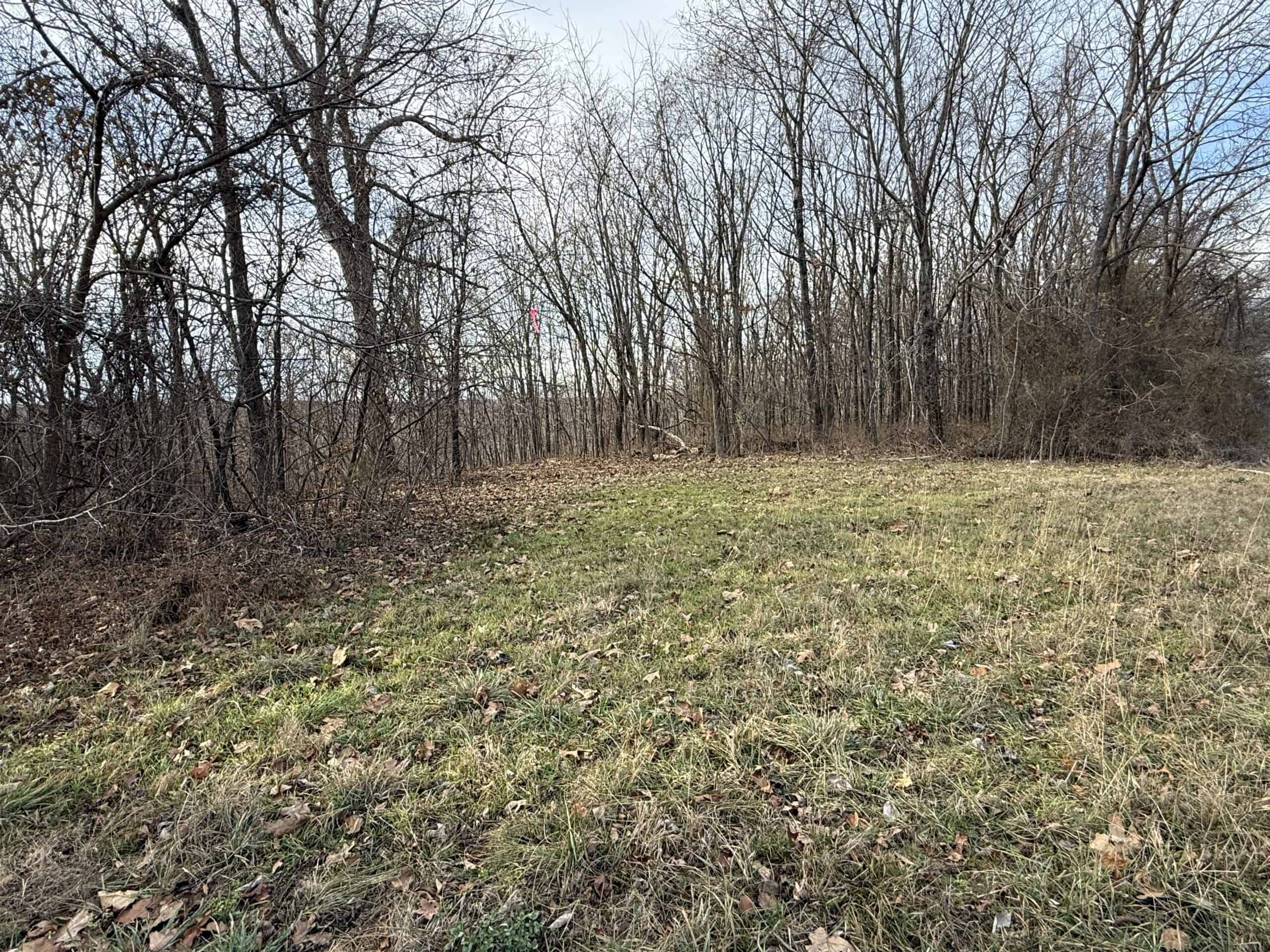 LAND FOR SALE IN THE ARKANSAS OZARK MOUNTAINS