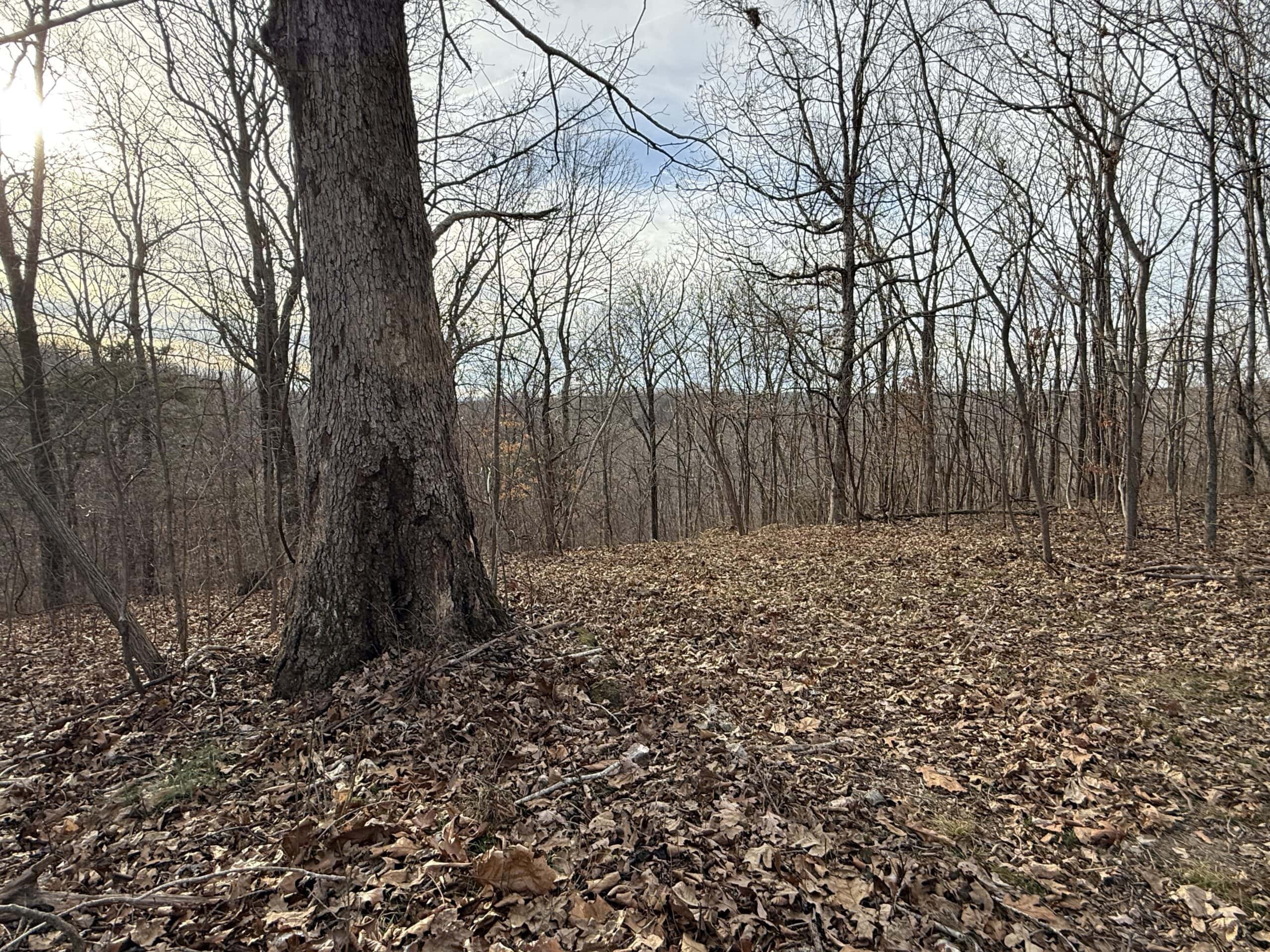 LAND FOR SALE IN THE ARKANSAS OZARK MOUNTAINS