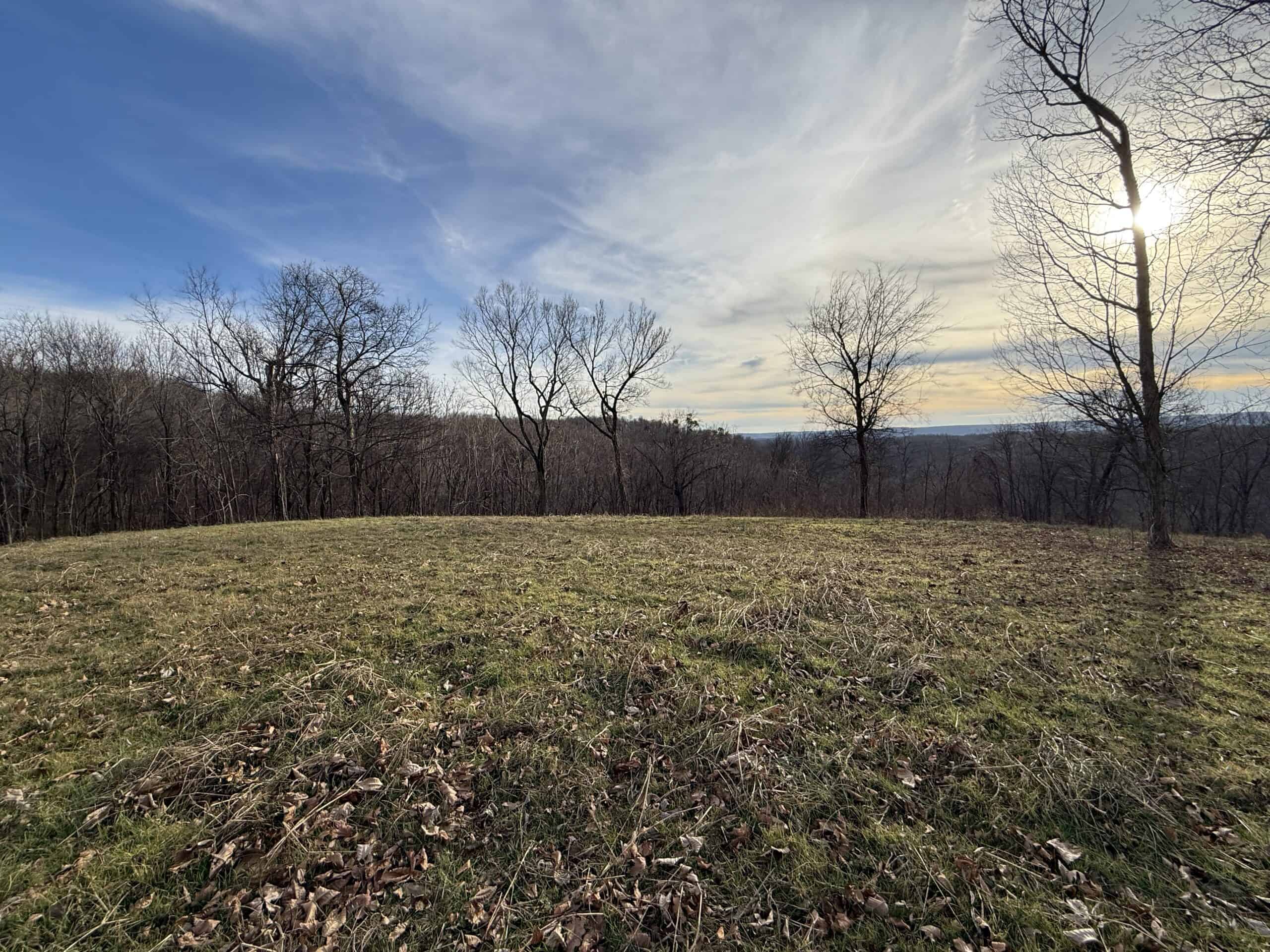 LAND FOR SALE IN THE ARKANSAS OZARK MOUNTAINS