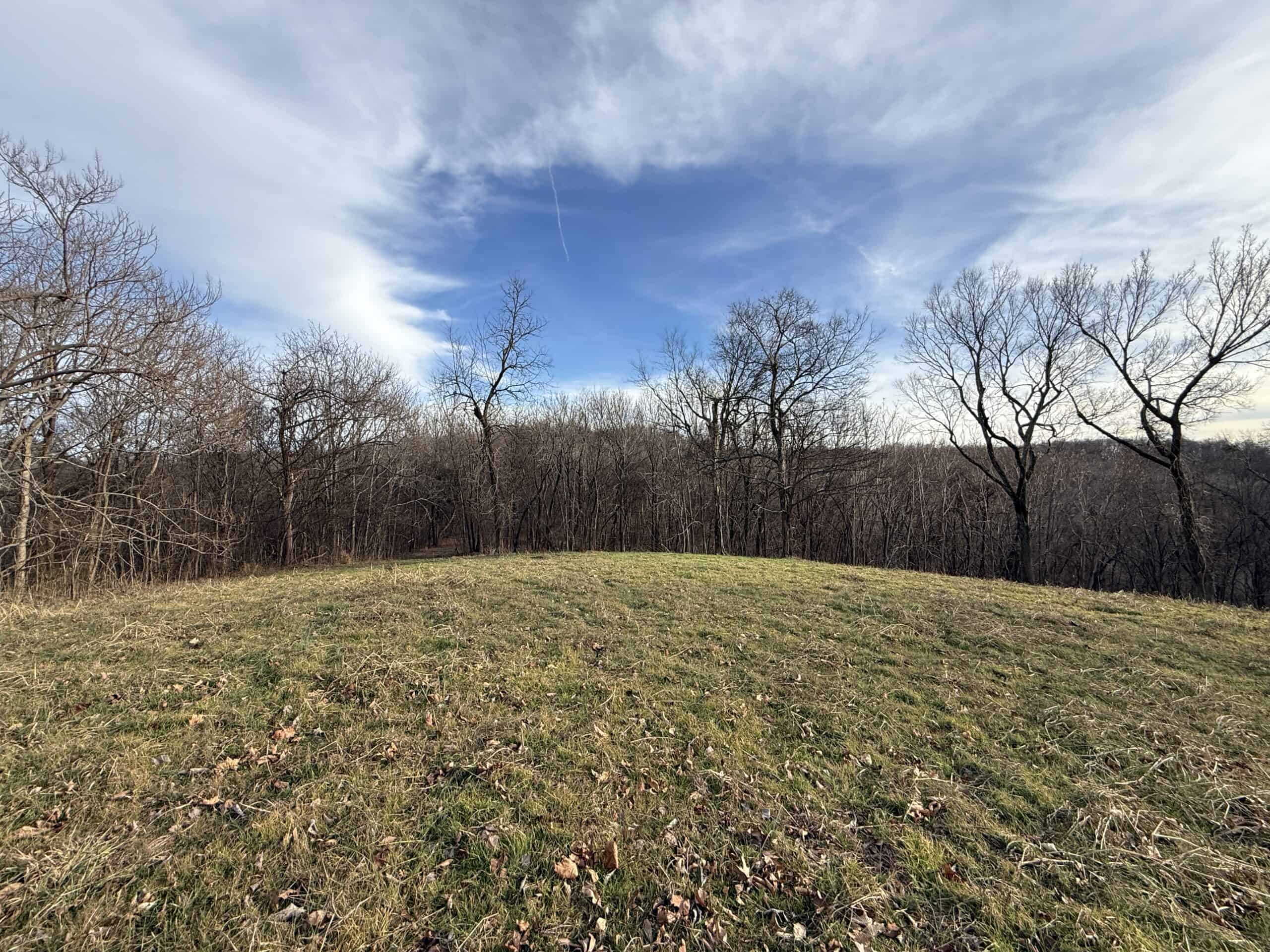 LAND FOR SALE IN THE ARKANSAS OZARK MOUNTAINS