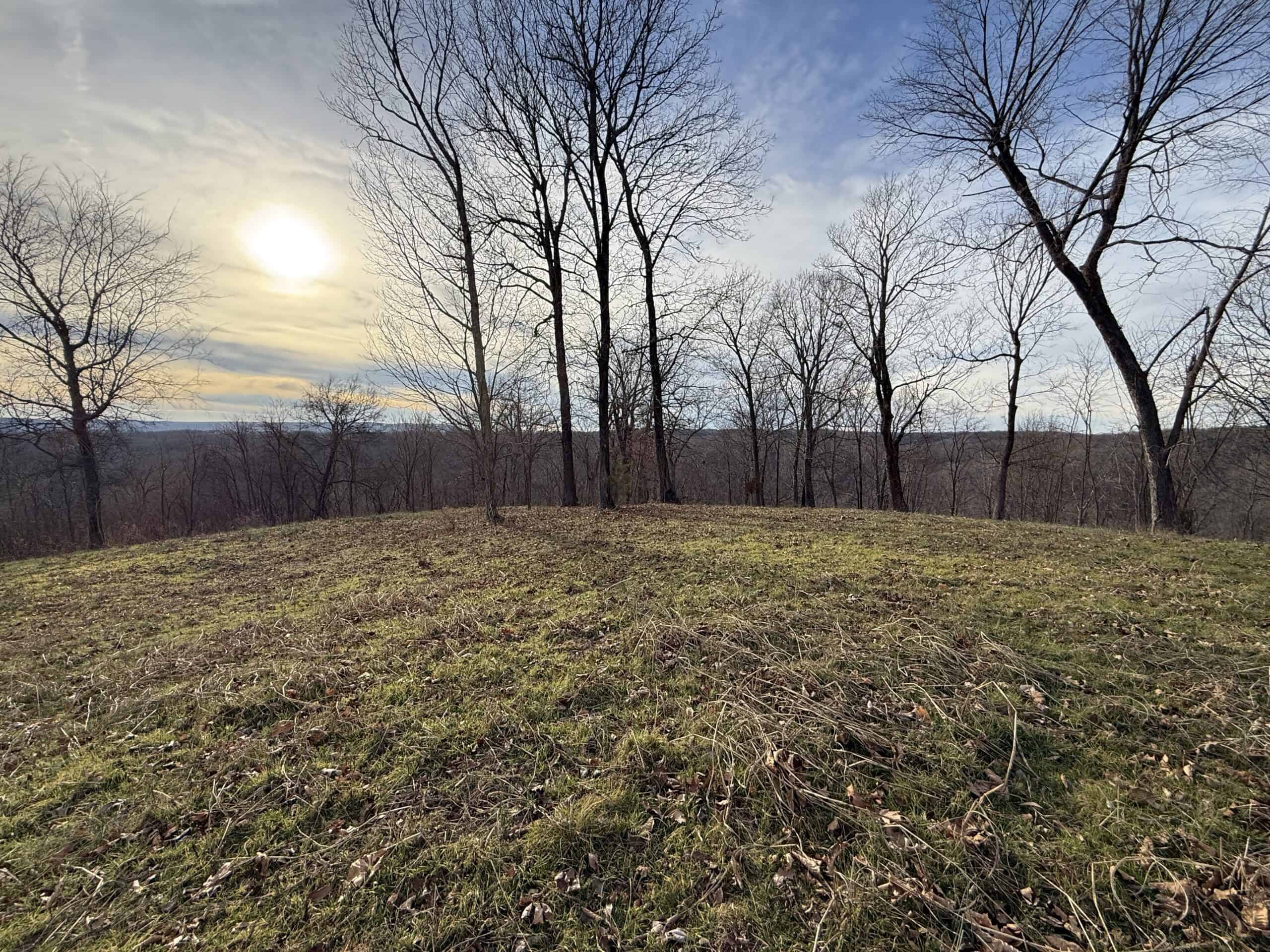LAND FOR SALE IN THE ARKANSAS OZARK MOUNTAINS