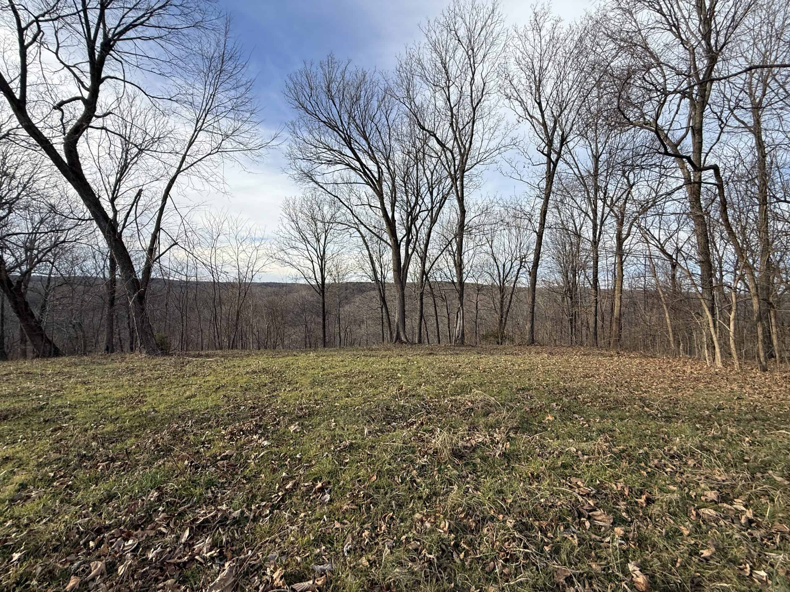 LAND FOR SALE IN THE ARKANSAS OZARK MOUNTAINS