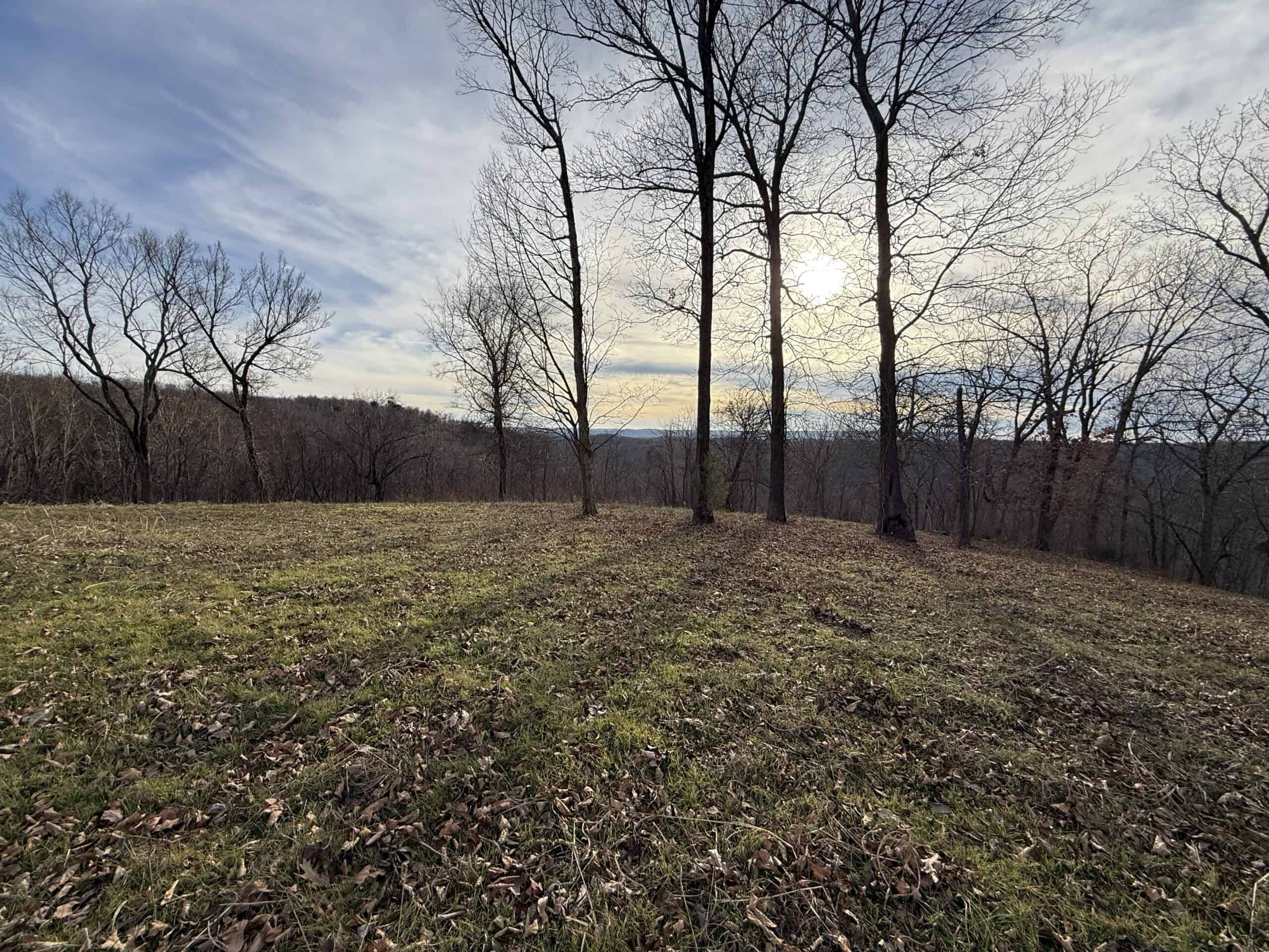 LAND FOR SALE IN THE ARKANSAS OZARK MOUNTAINS