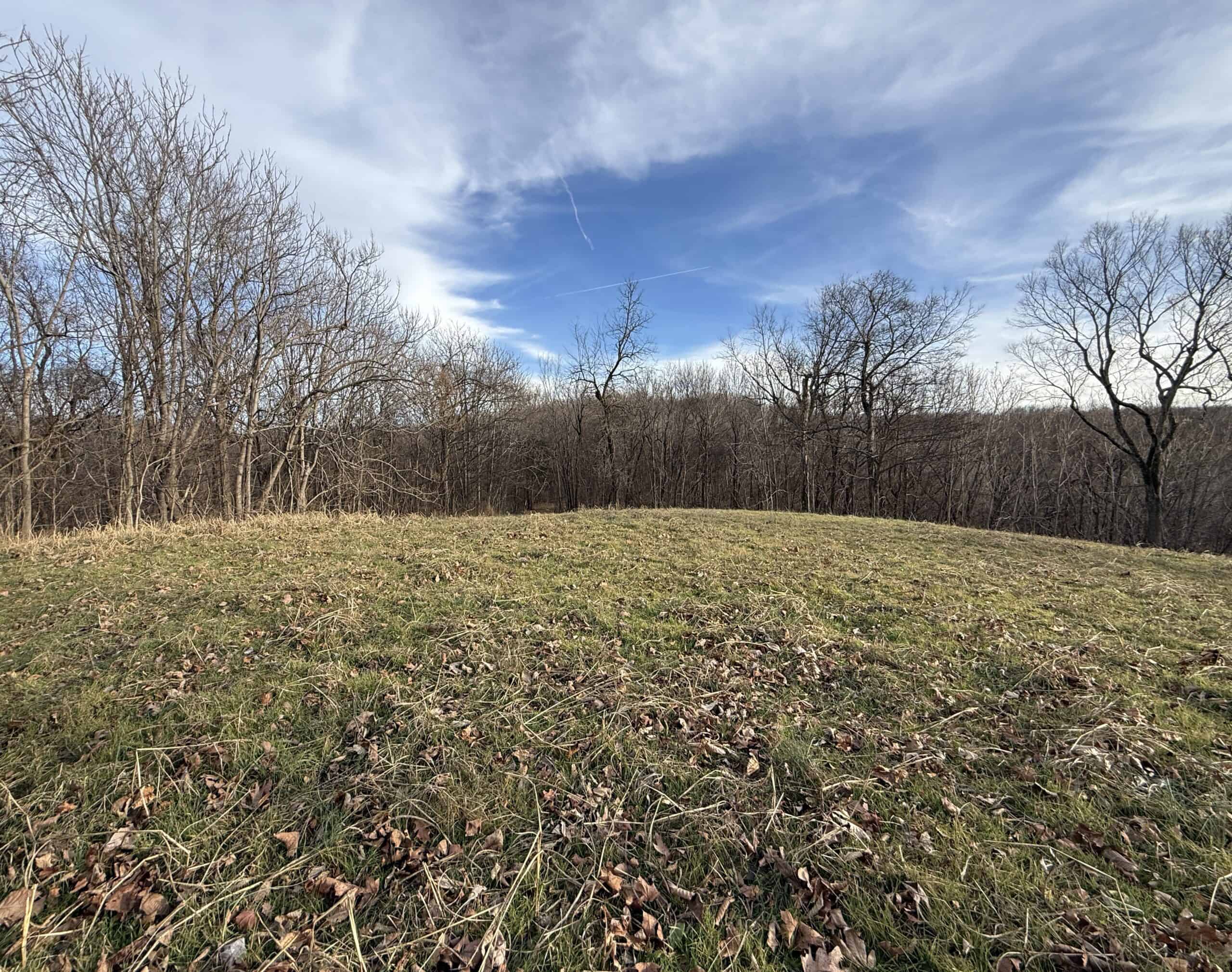 LAND FOR SALE IN THE ARKANSAS OZARK MOUNTAINS