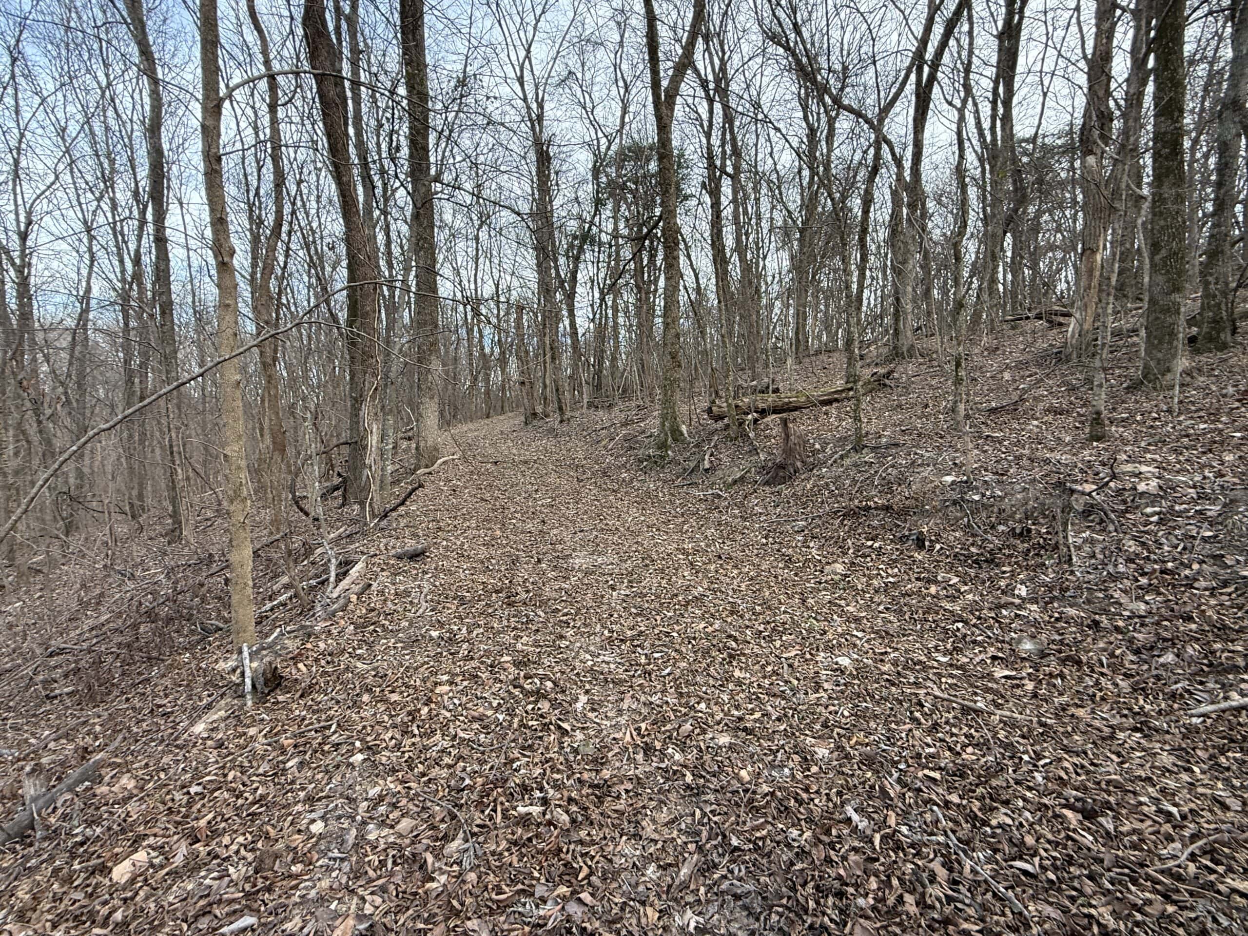 LAND FOR SALE IN THE ARKANSAS OZARK MOUNTAINS