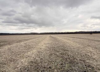 Row Crop Ground in Northwest Missouri