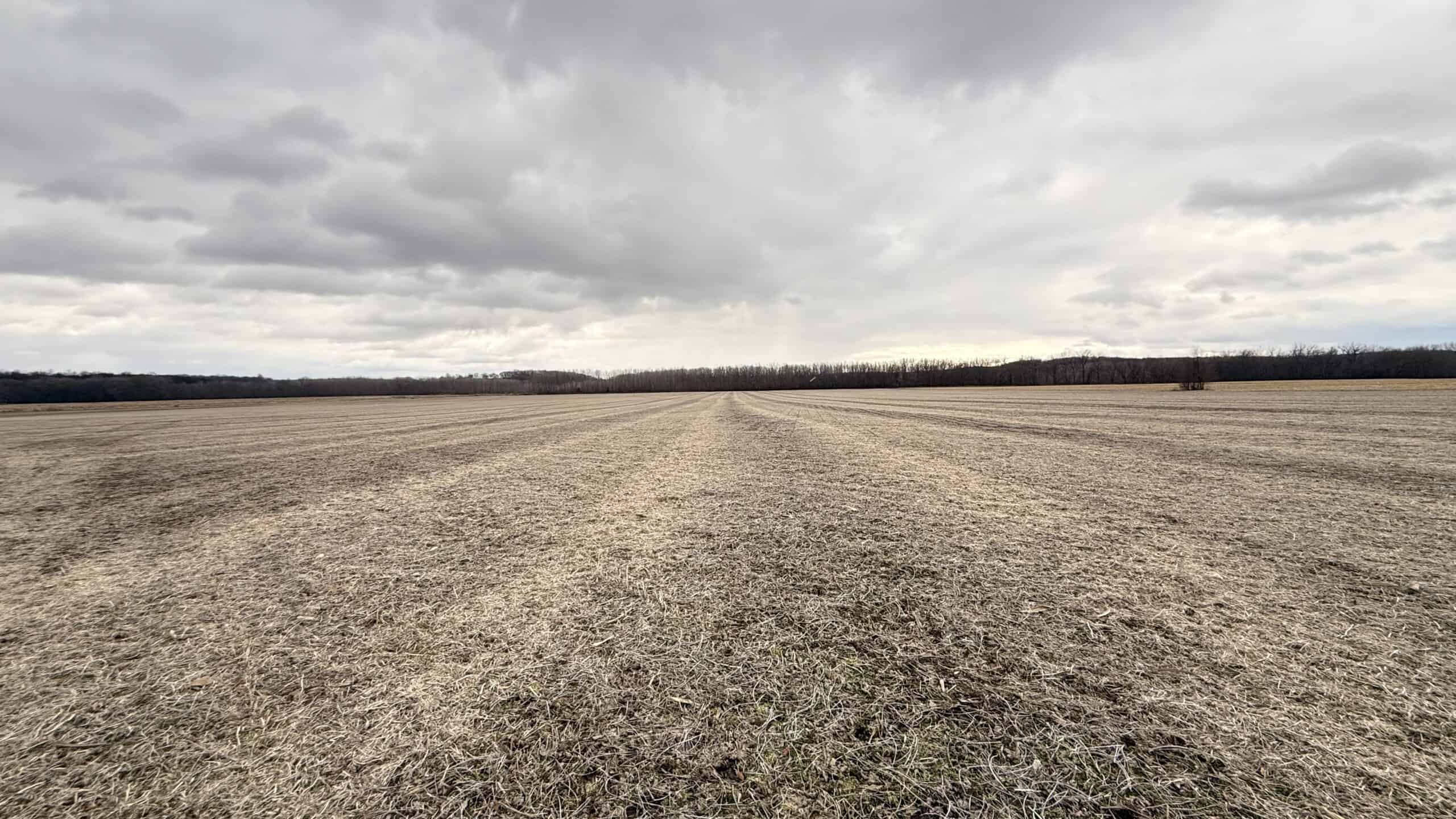 Row Crop Ground in Northwest Missouri