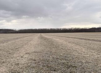 Row Crop Ground in Northwest Missouri