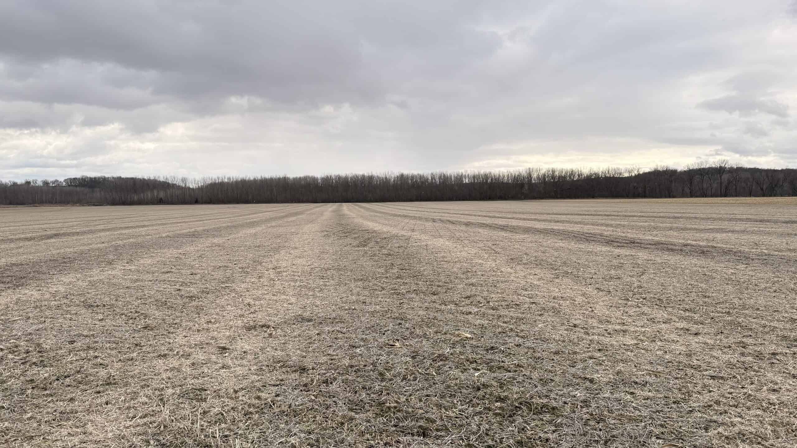 Row Crop Ground in Northwest Missouri