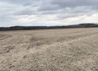 Row Crop Ground in Northwest Missouri
