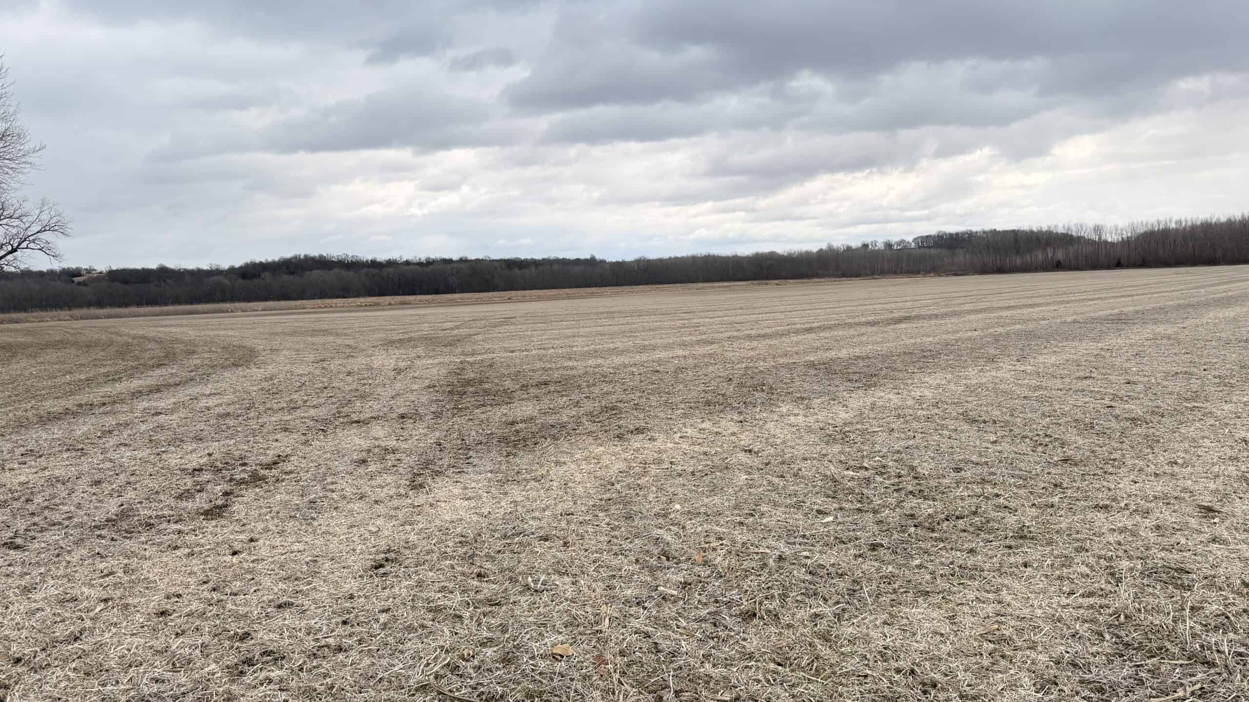 Row Crop Ground in Northwest Missouri
