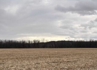 Row Crop Ground in Northwest Missouri