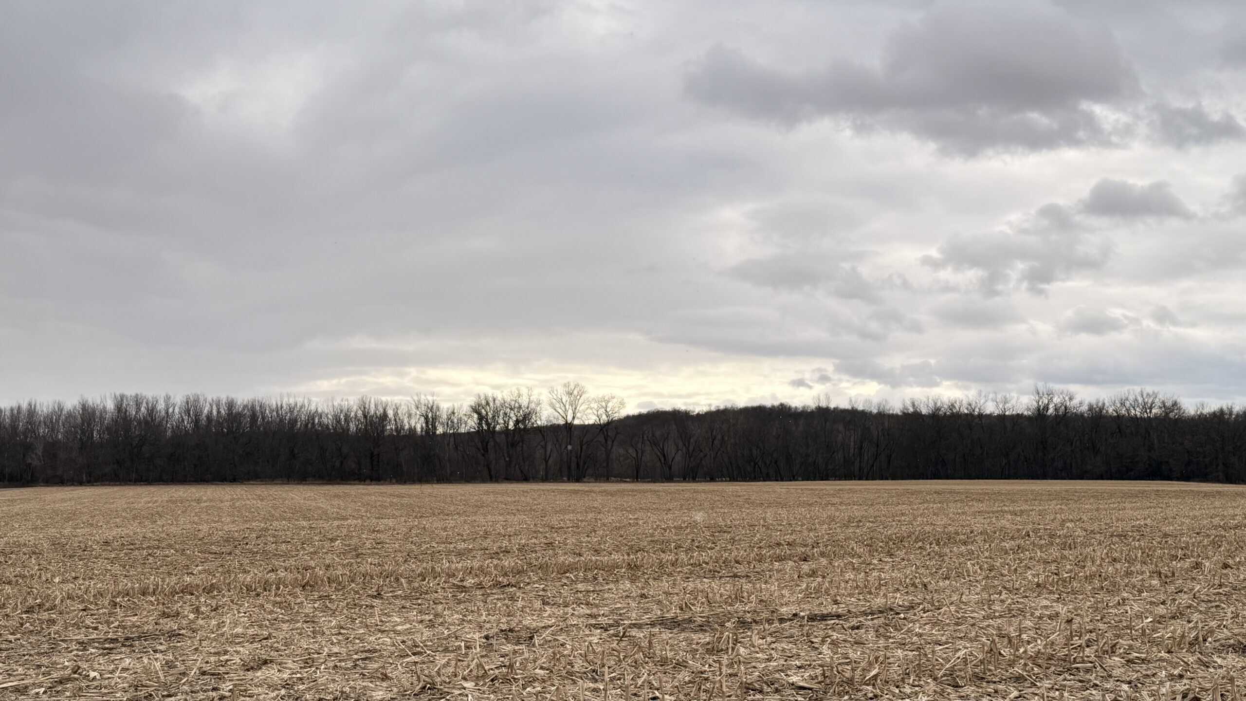 Row Crop Ground in Northwest Missouri