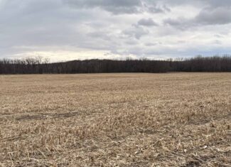 Row Crop Ground in Northwest Missouri