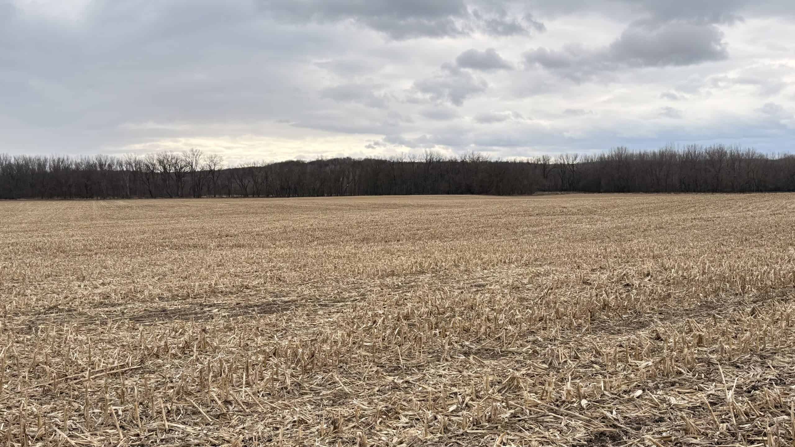 Row Crop Ground in Northwest Missouri