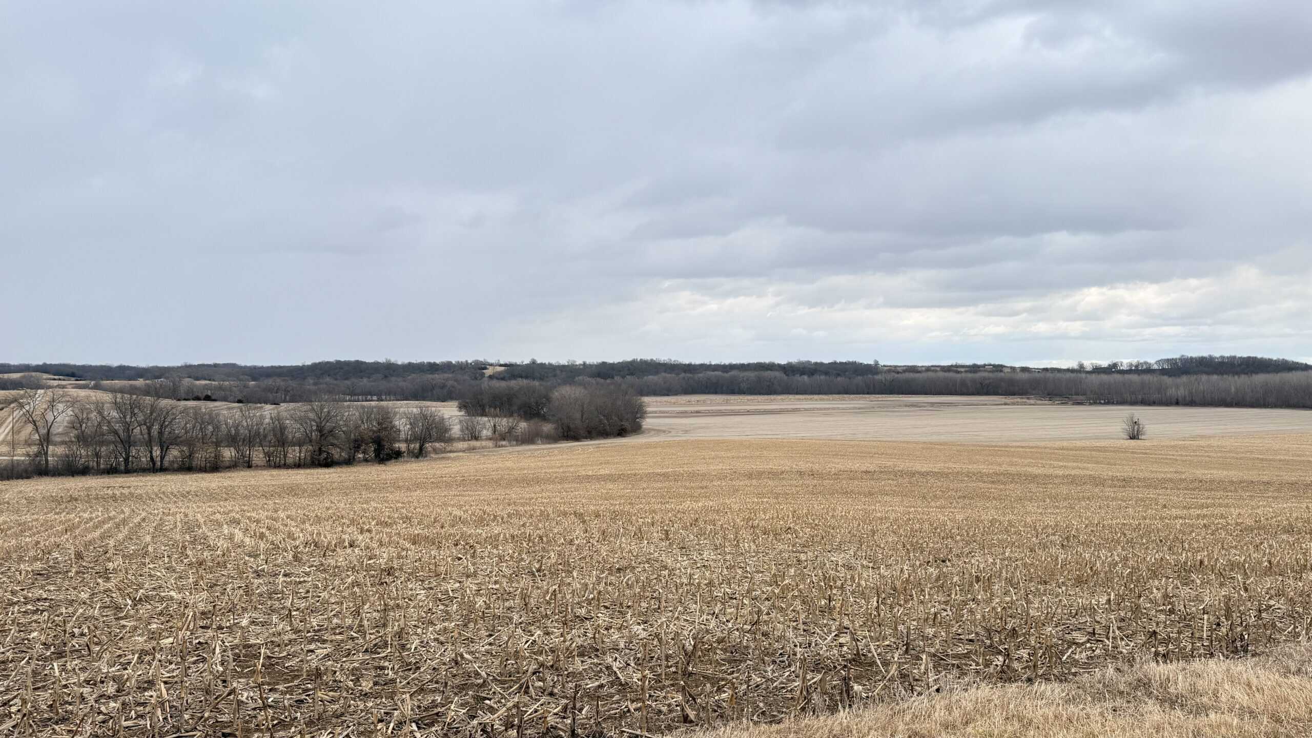 Row Crop Ground in Northwest Missouri