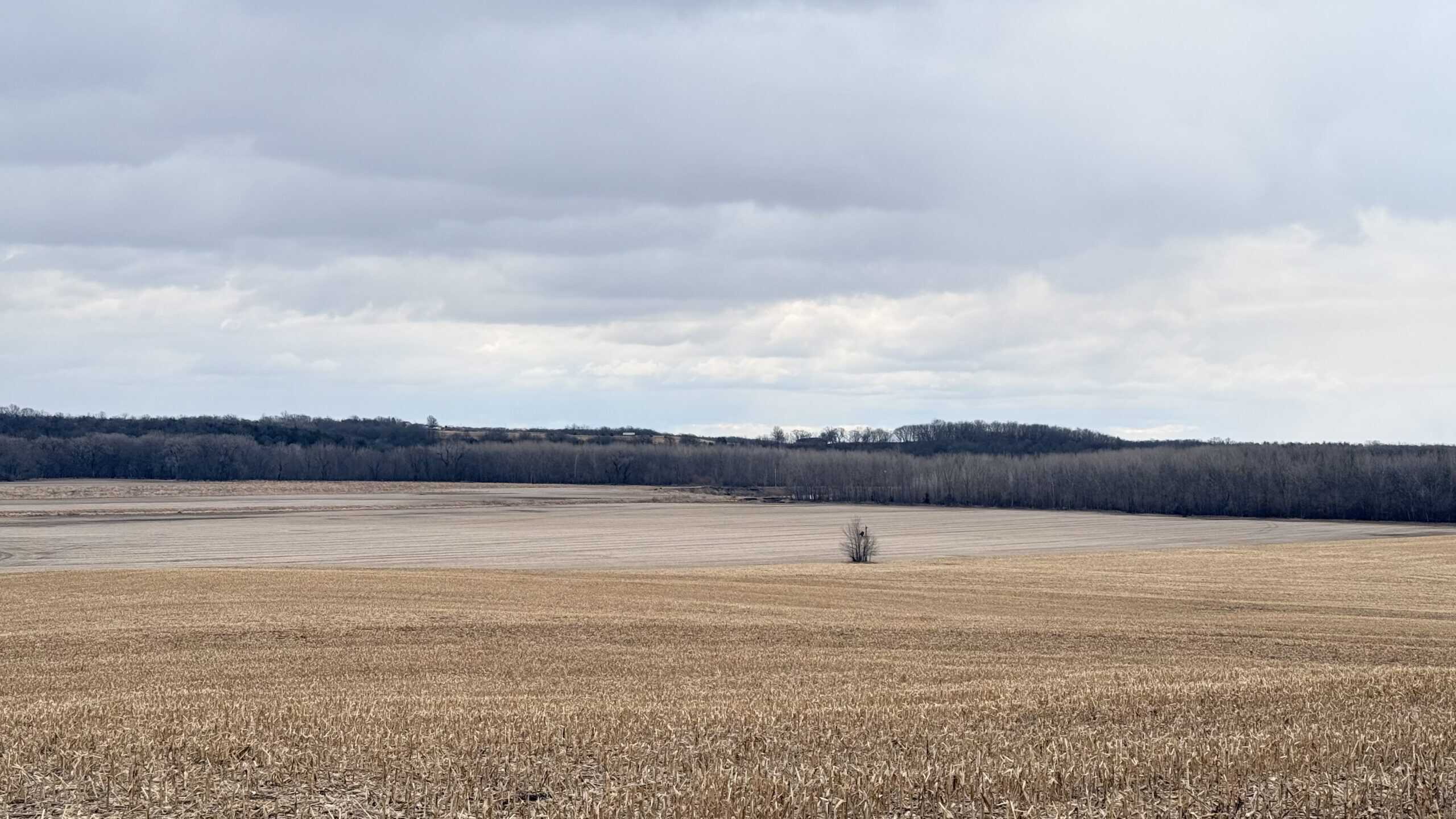 Row Crop Ground in Northwest Missouri
