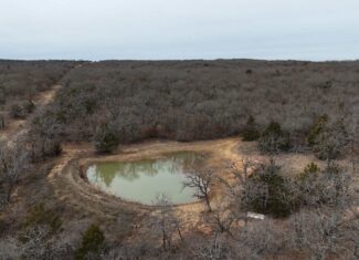 84 acre North Texas Hunting Property