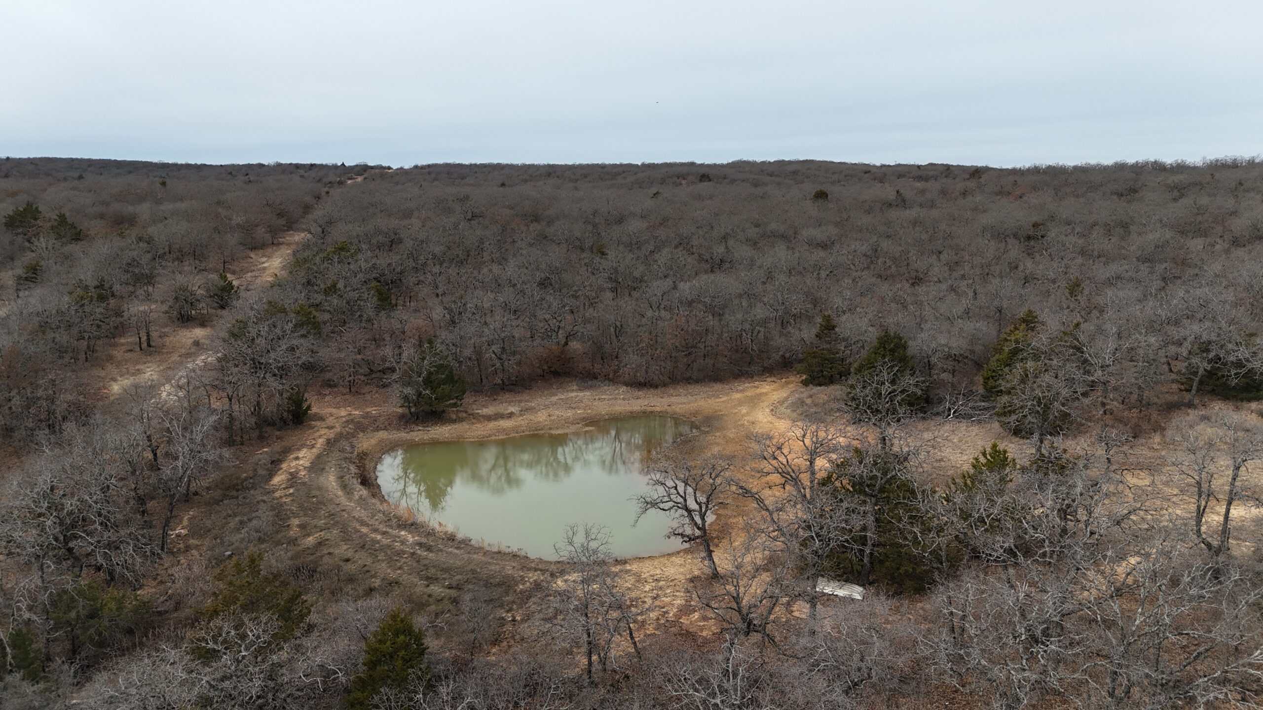 84 acre North Texas Hunting Property