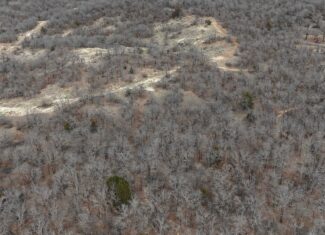 84 acre North Texas Hunting Property