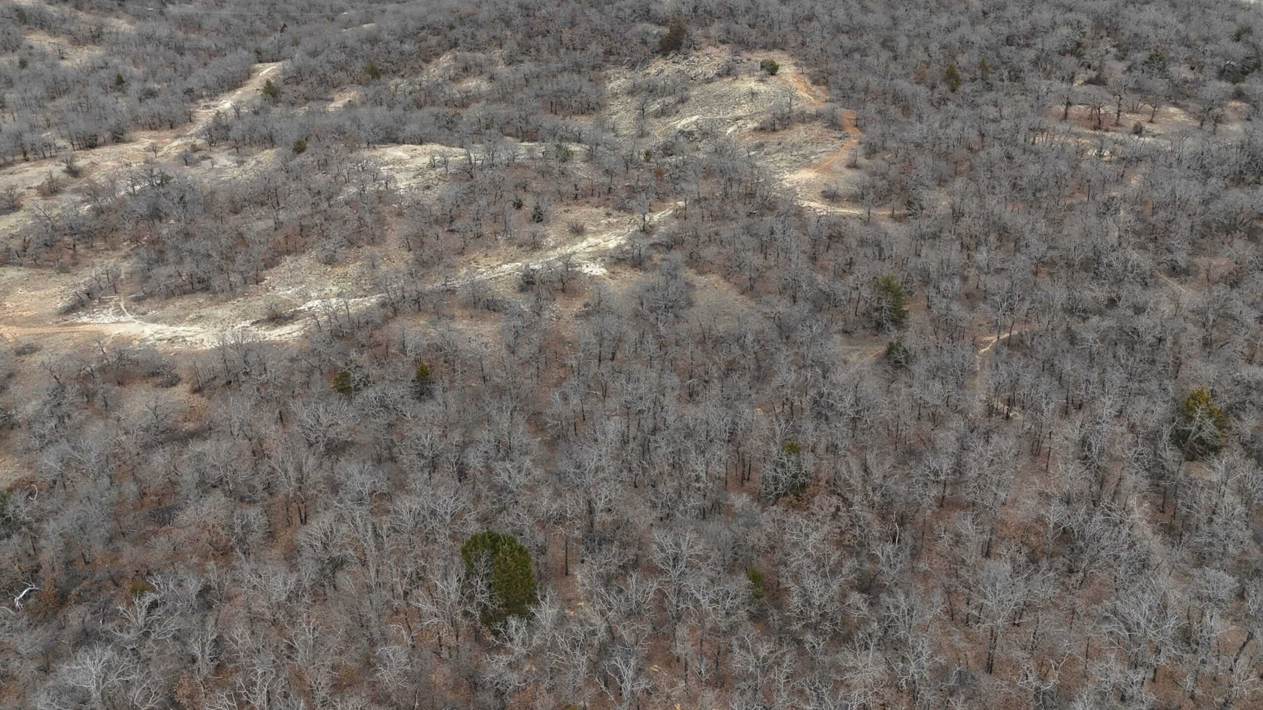 84 acre North Texas Hunting Property