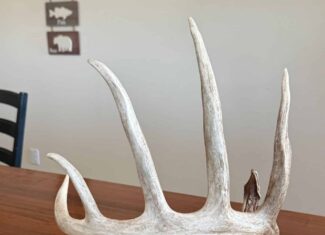 110 +/- Acres | Rathbun Lake Hunting & Investment Farm