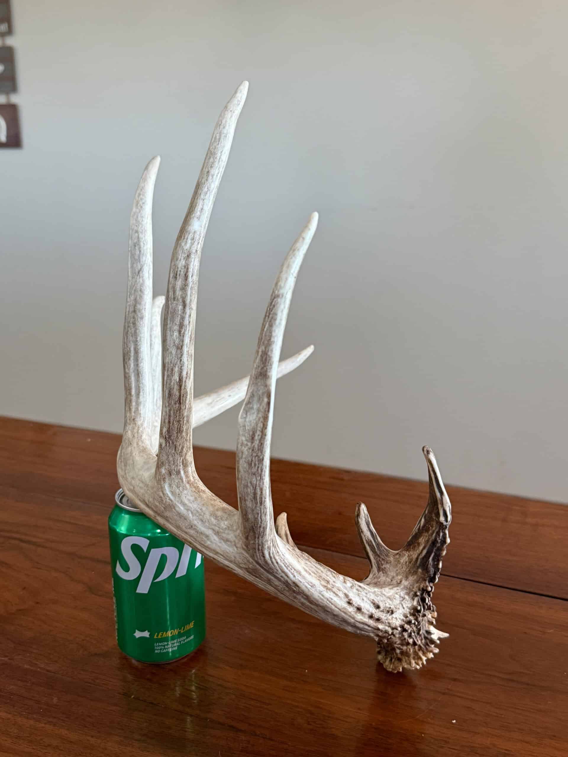 110 +/- Acres | Rathbun Lake Hunting & Investment Farm