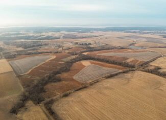 110 +/- Acres | Rathbun Lake Hunting & Investment Farm