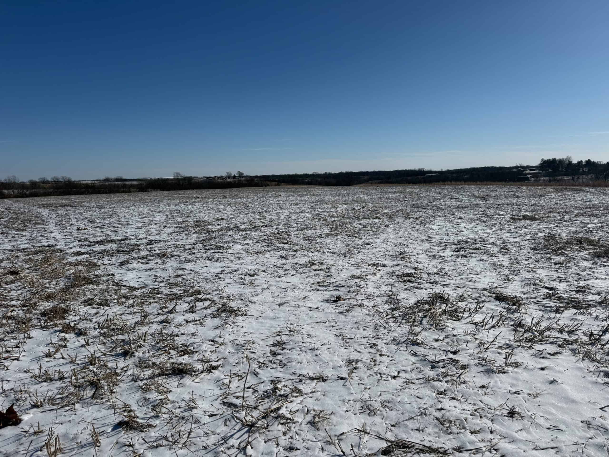 110 +/- Acres | Rathbun Lake Hunting & Investment Farm