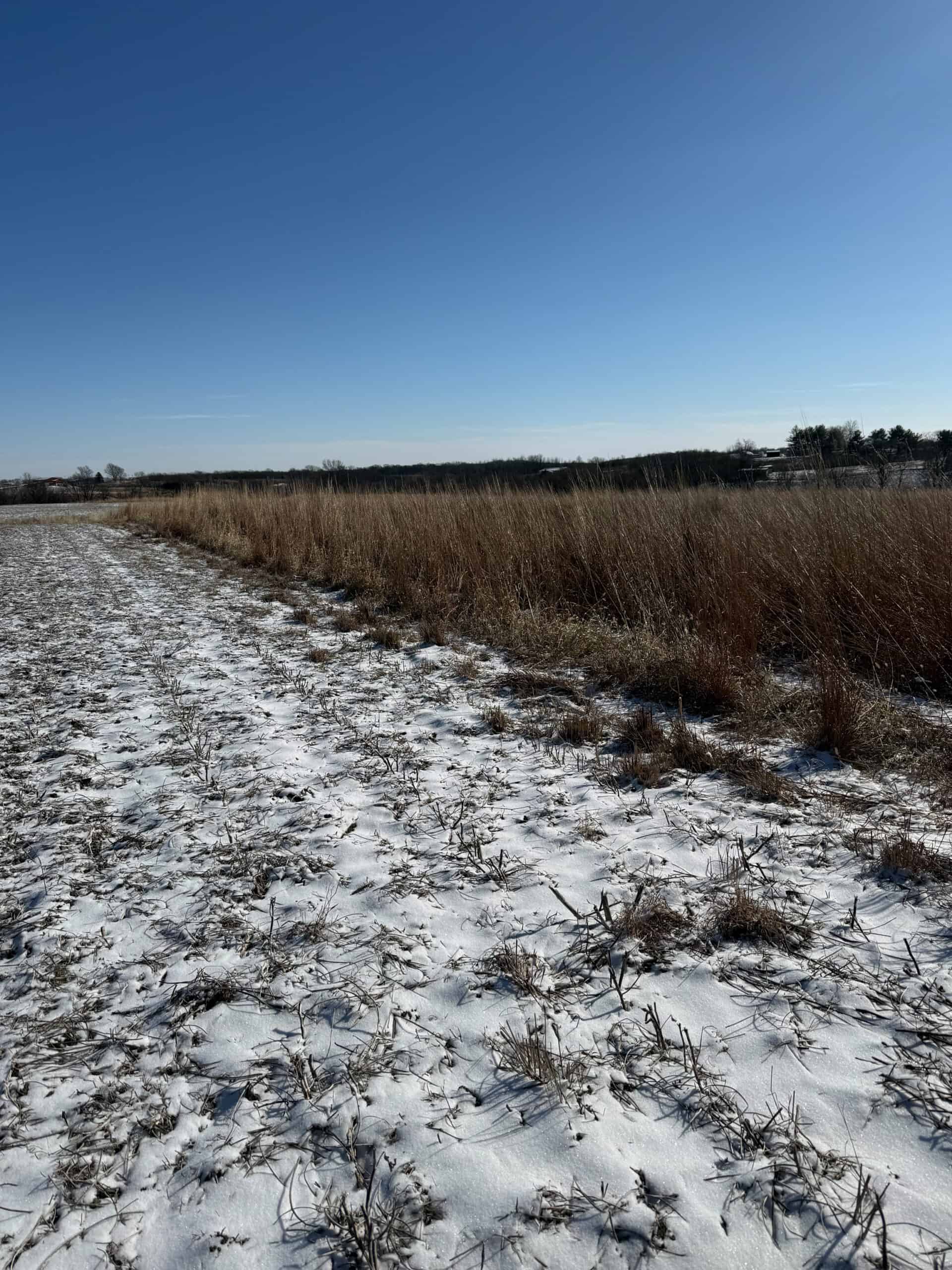 110 +/- Acres | Rathbun Lake Hunting & Investment Farm