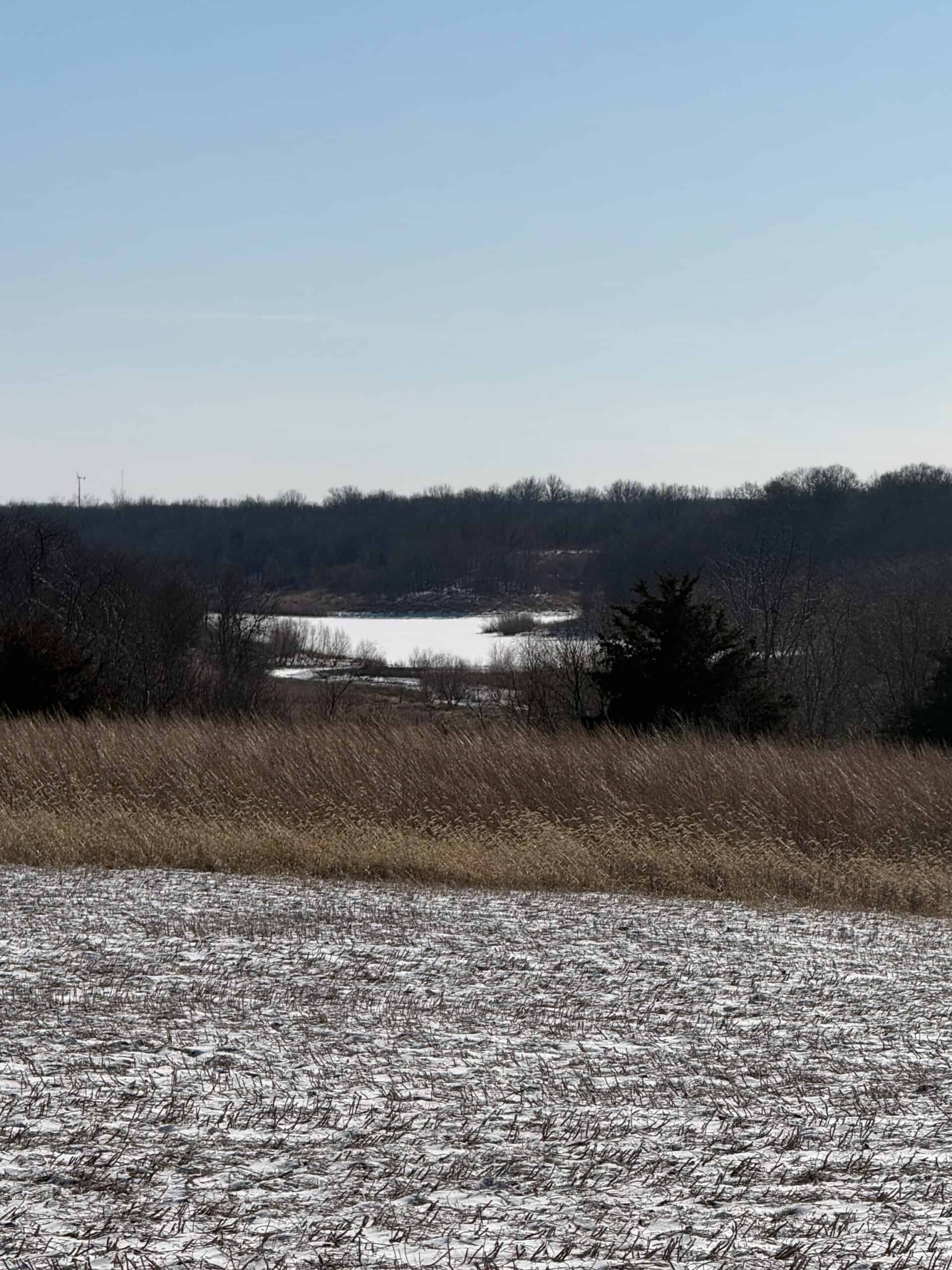 110 +/- Acres | Rathbun Lake Hunting & Investment Farm