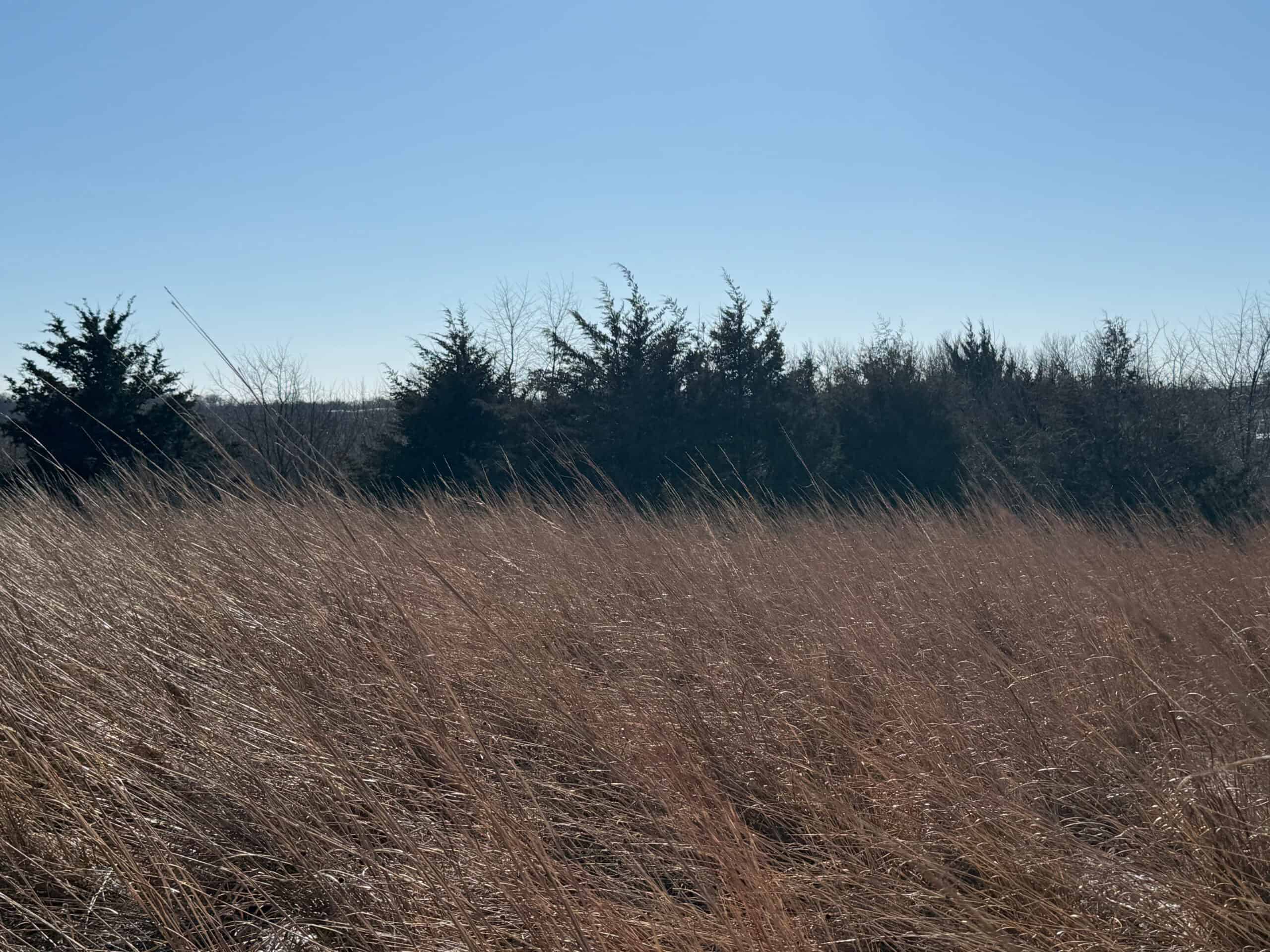 110 +/- Acres | Rathbun Lake Hunting & Investment Farm