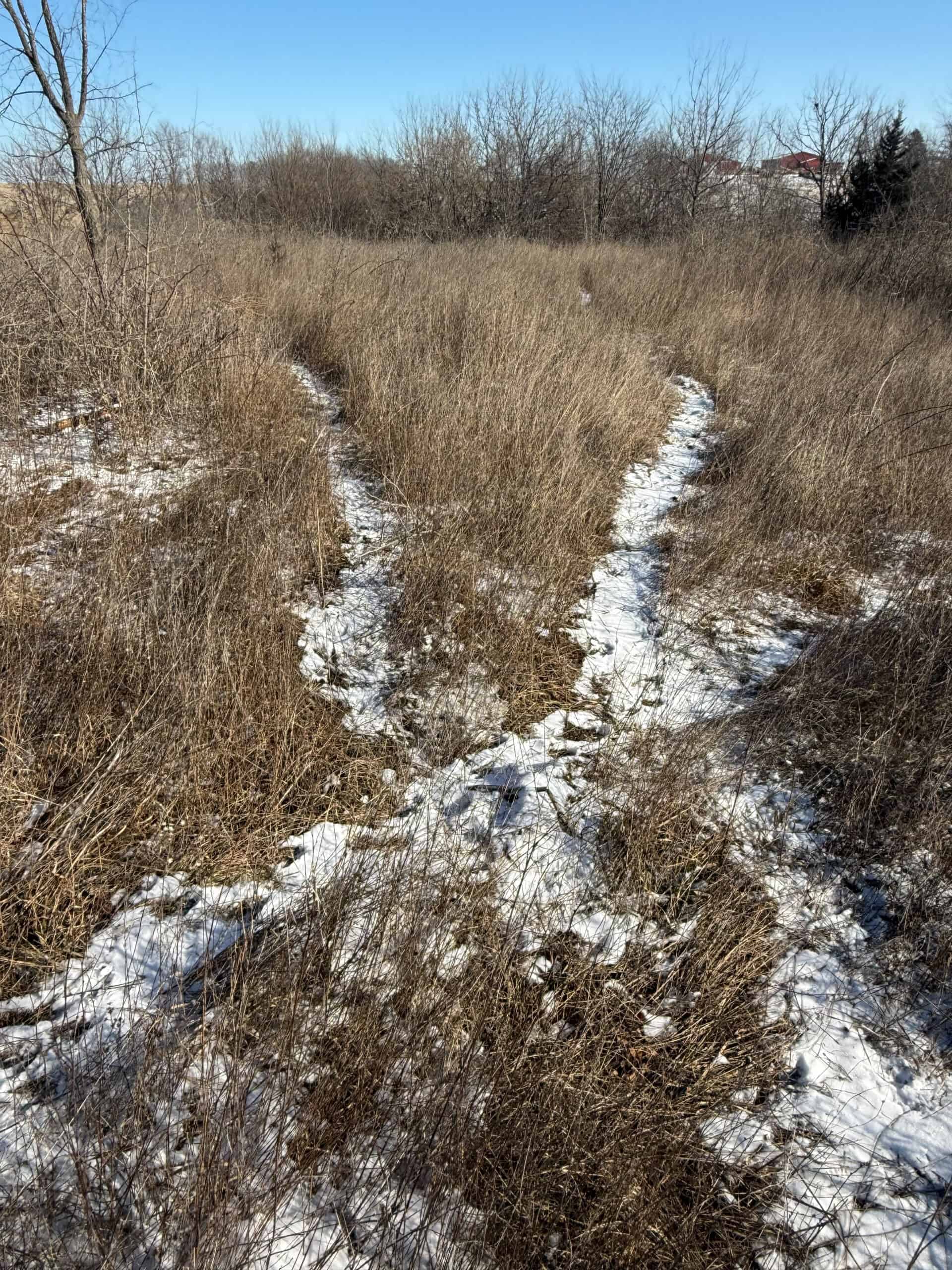 110 +/- Acres | Rathbun Lake Hunting & Investment Farm