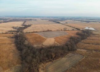 110 +/- Acres | Rathbun Lake Hunting & Investment Farm