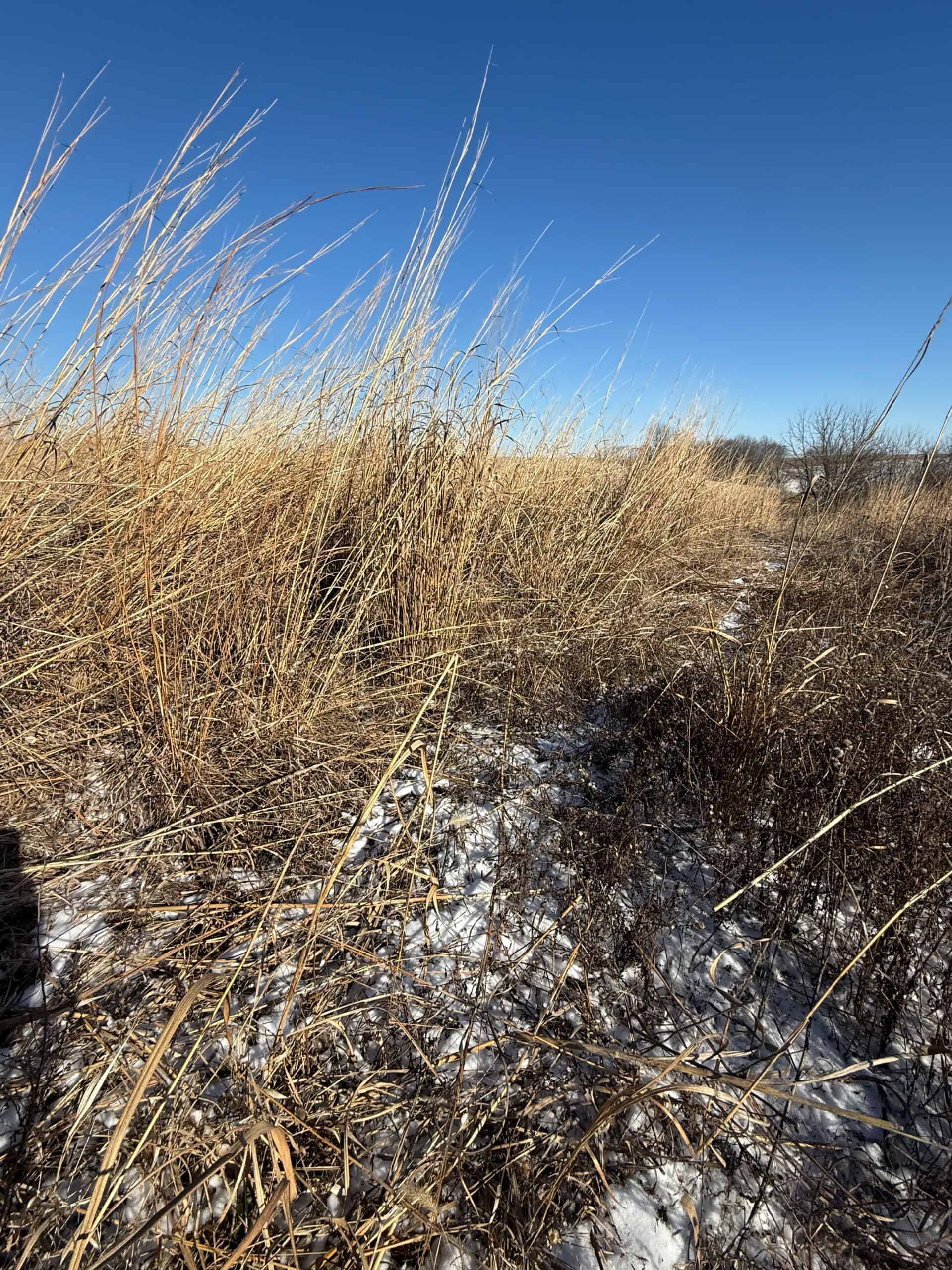 110 +/- Acres | Rathbun Lake Hunting & Investment Farm