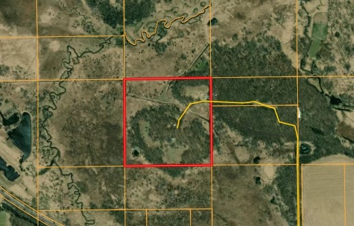 Secluded 40-Acre Property With Prime Hunting and Peaceful Country Living