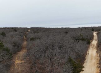 84 acre North Texas Hunting Property