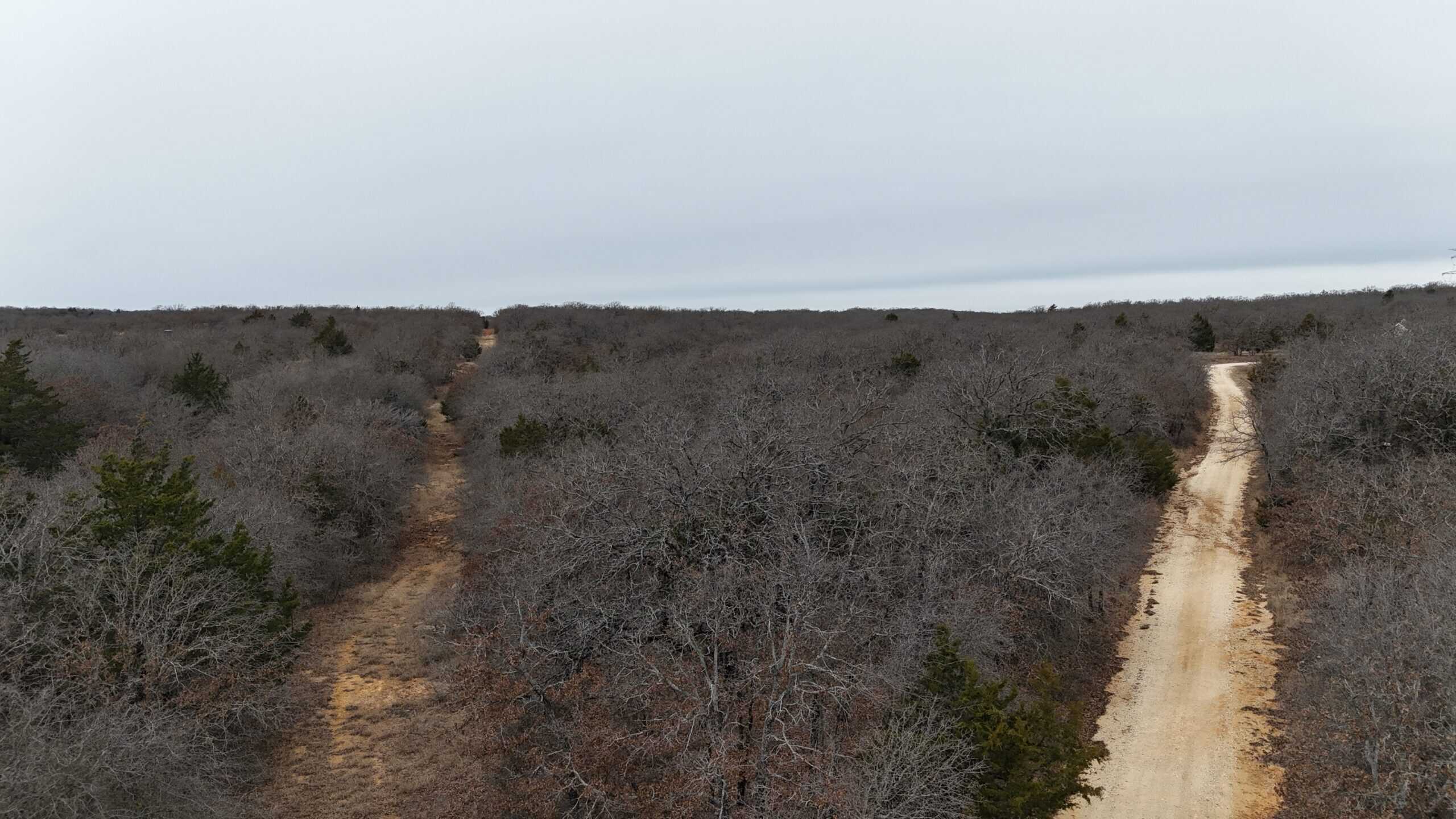 84 acre North Texas Hunting Property