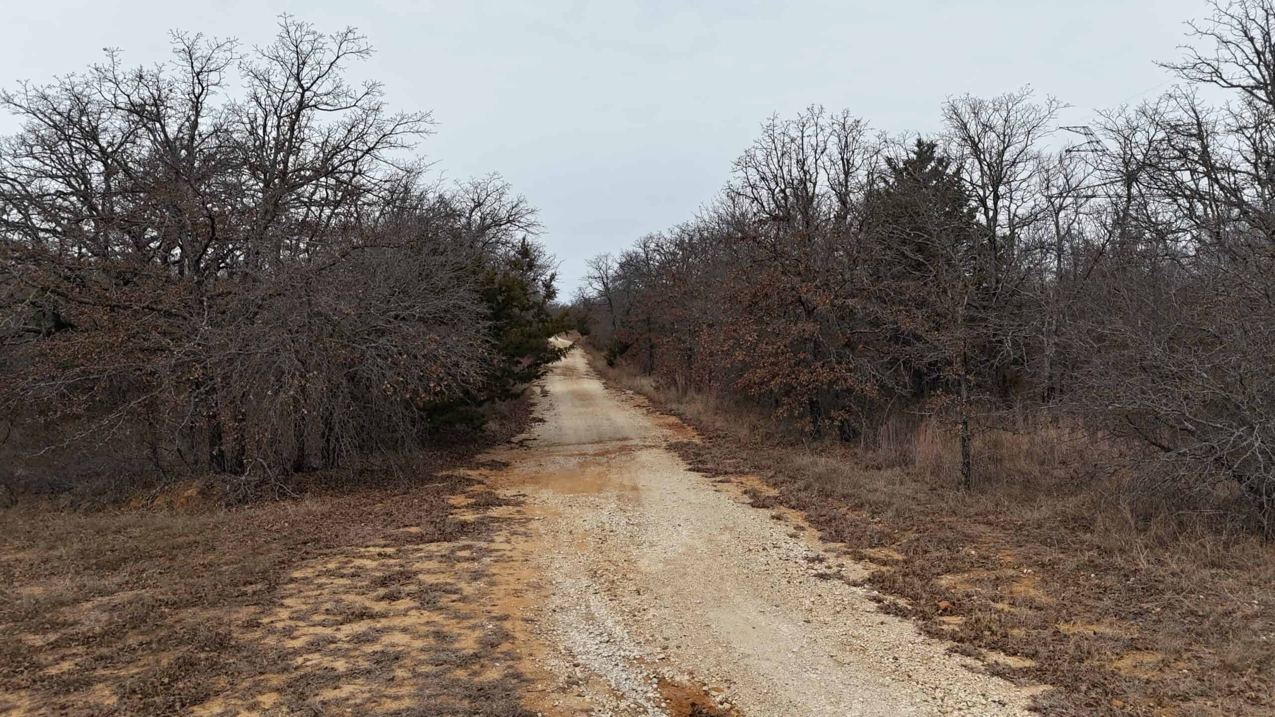 84 acre North Texas Hunting Property