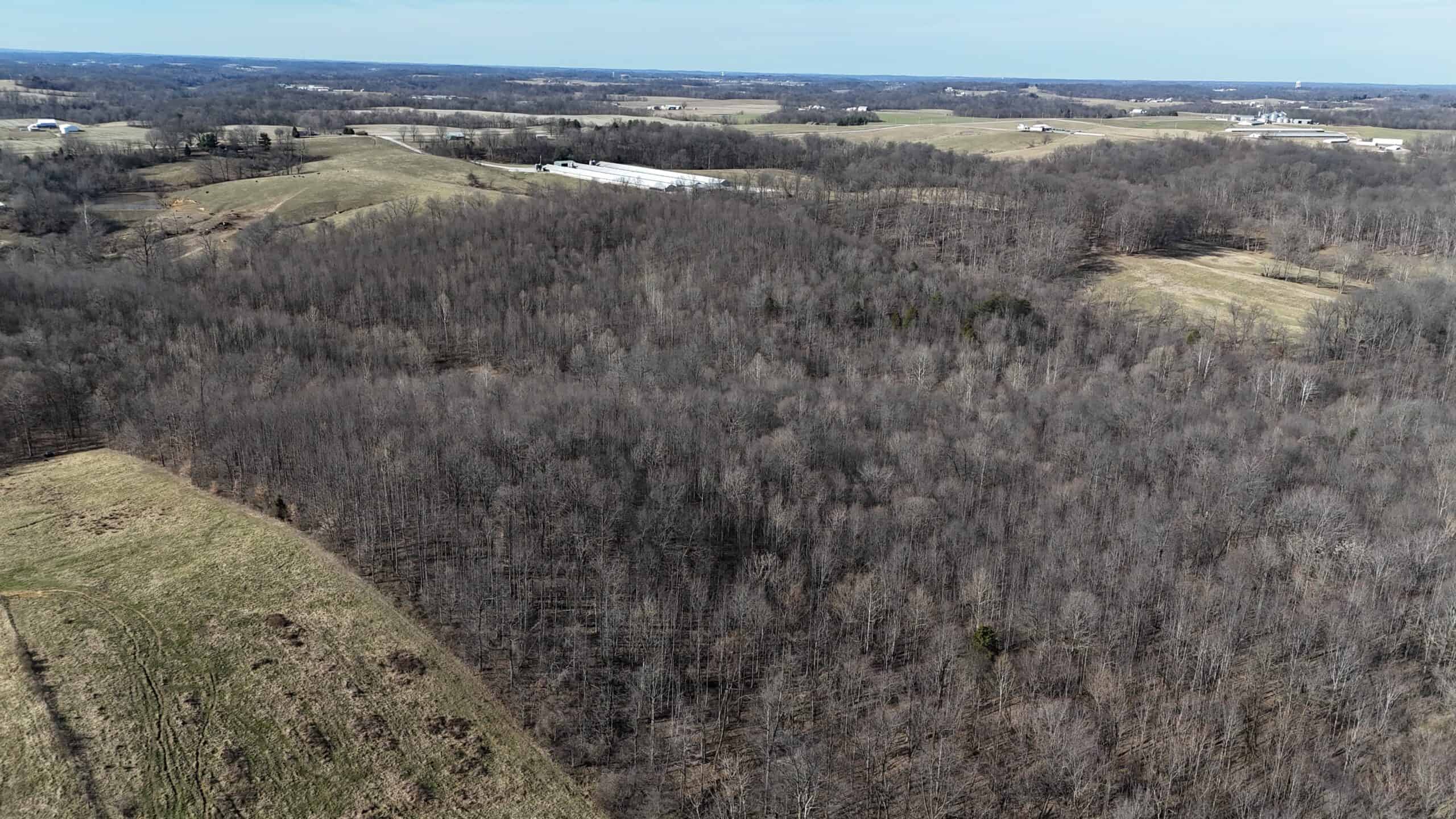 80 Acres In Dubois County- Near Patoka Lake