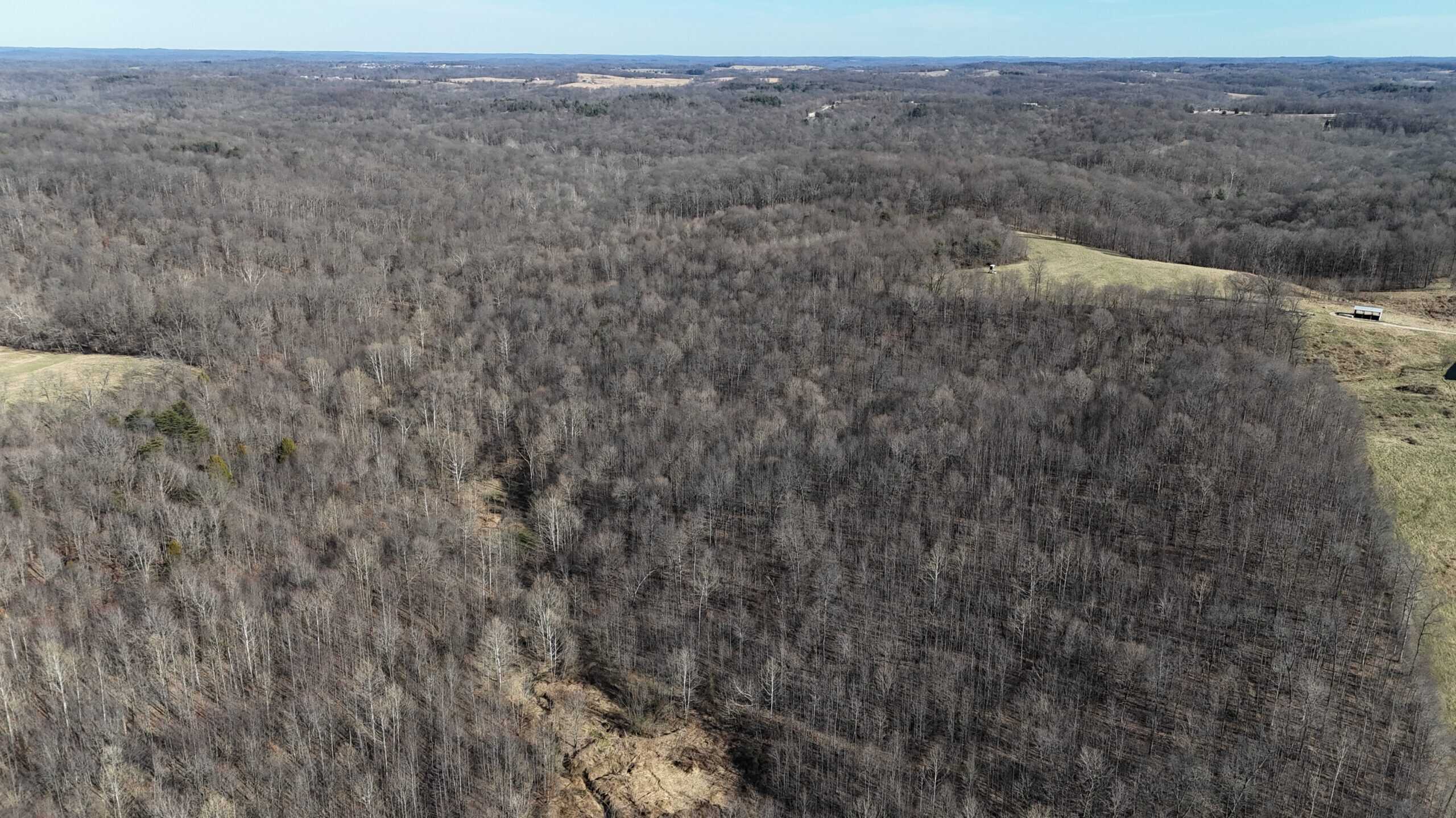 80 Acres In Dubois County- Near Patoka Lake