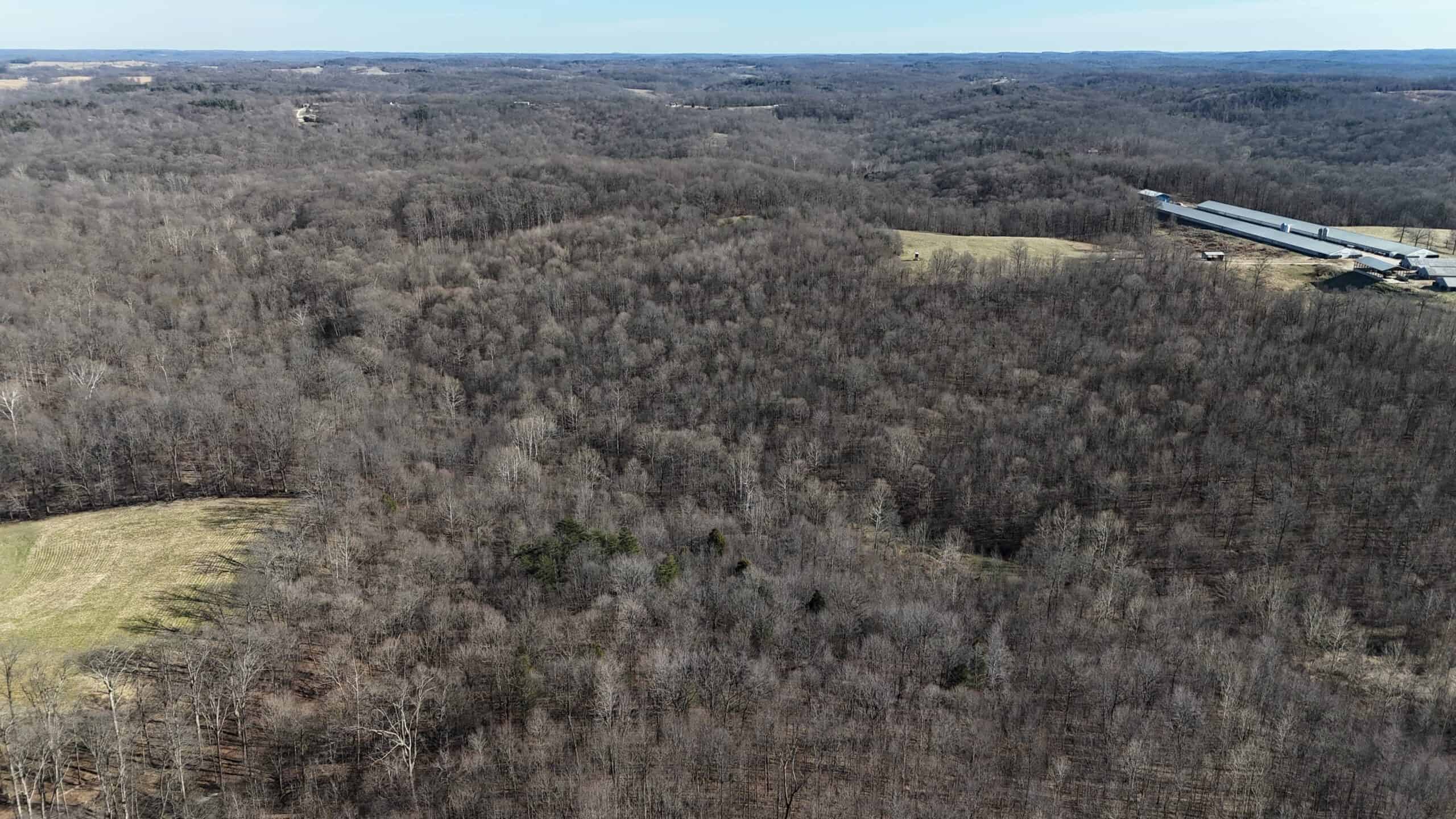 80 Acres In Dubois County- Near Patoka Lake