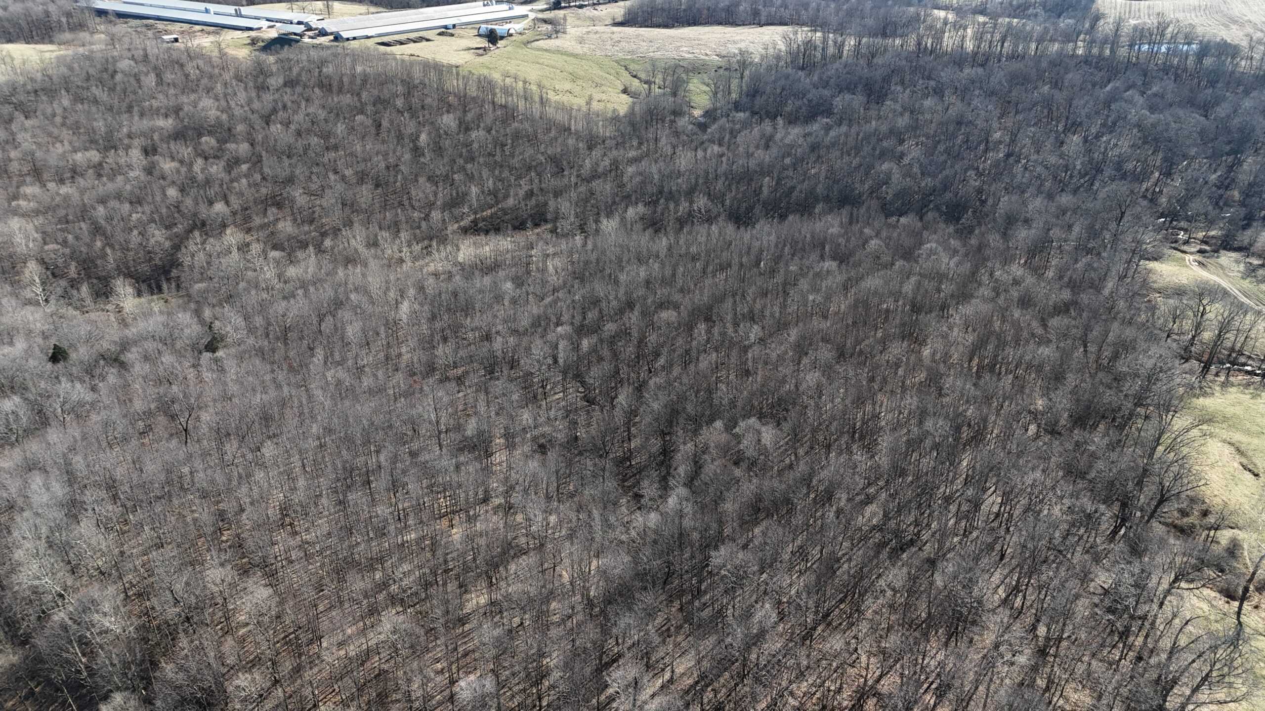 80 Acres In Dubois County- Near Patoka Lake
